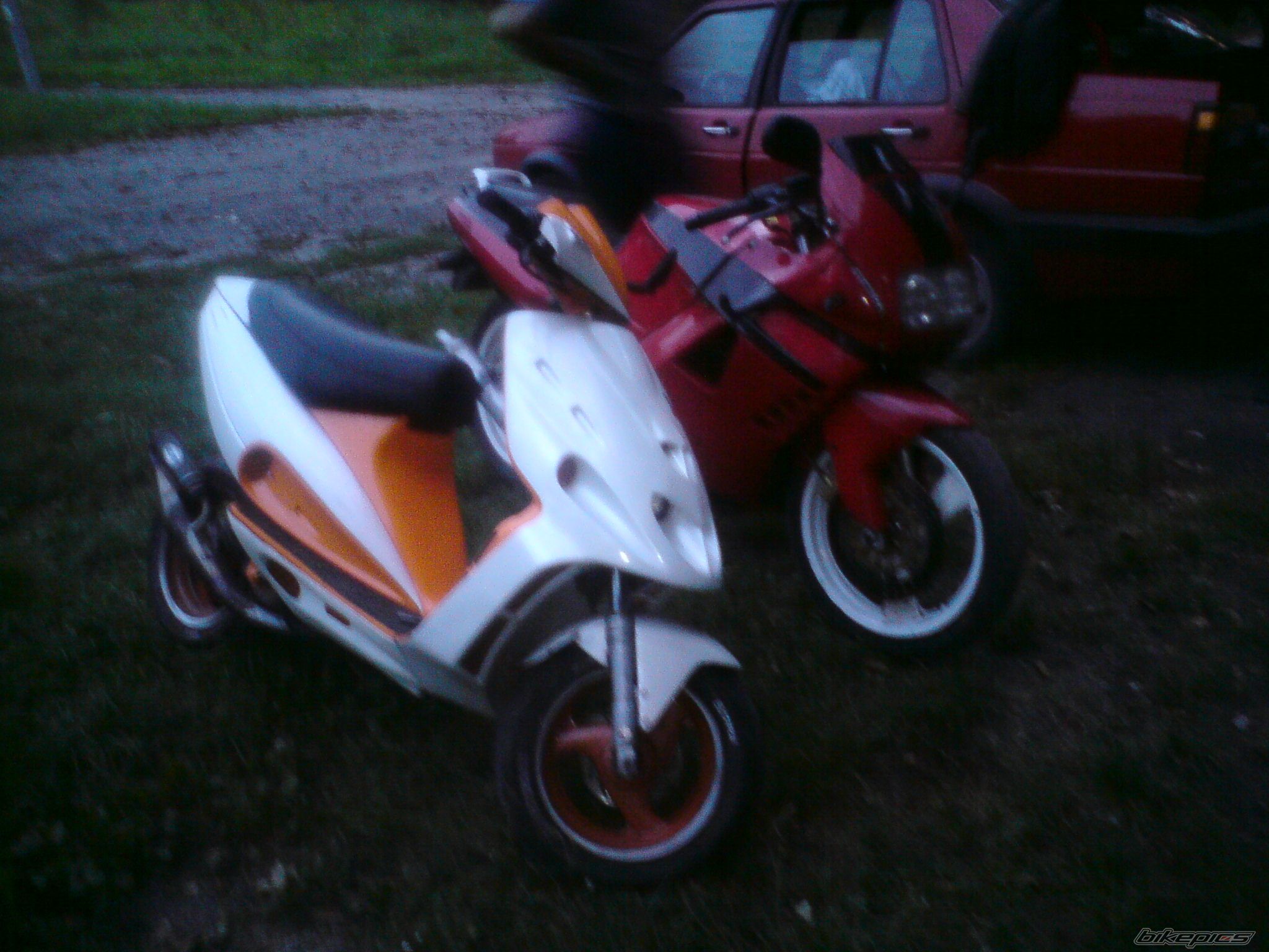 Photo 2261049