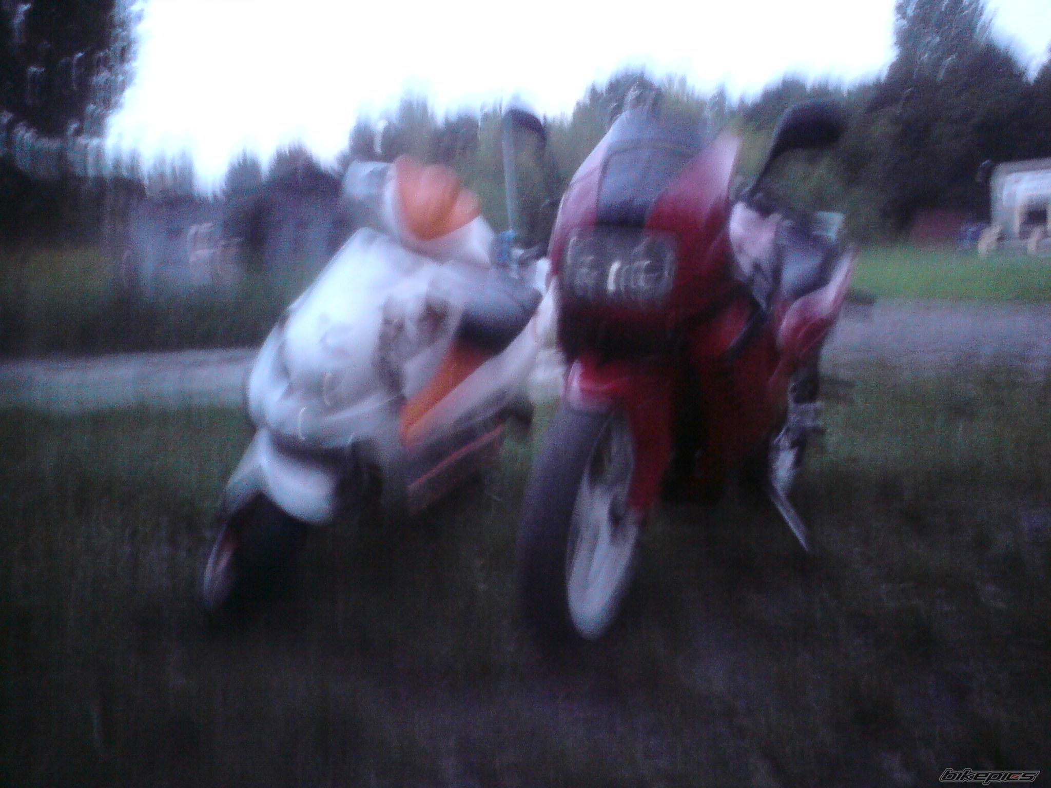 Photo 2261058