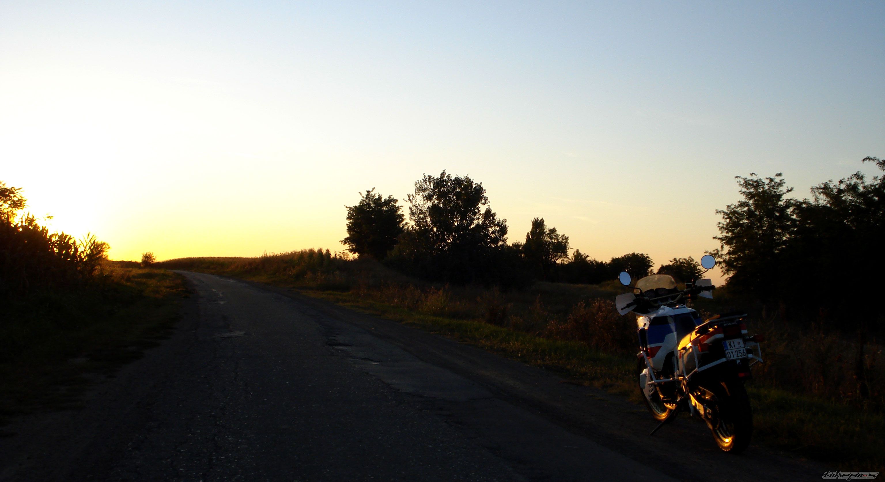 Photo 2261090
