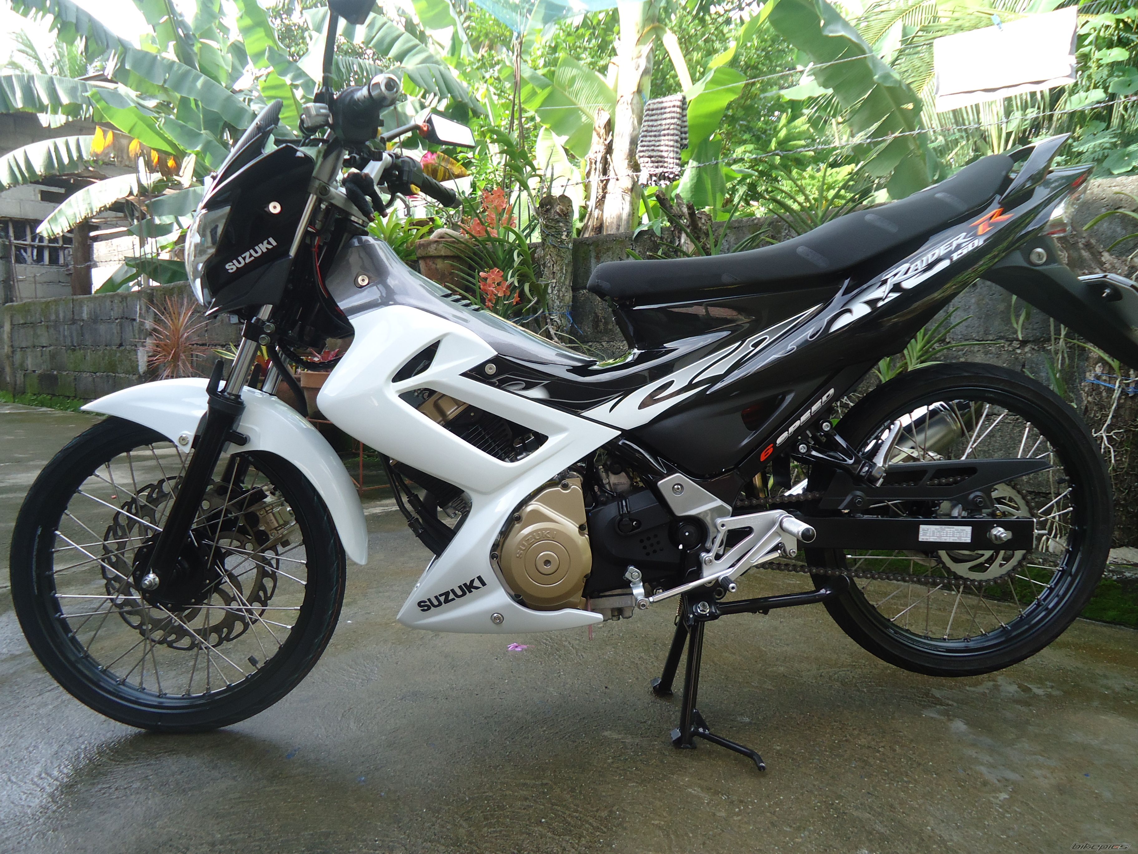 Photo 2261200