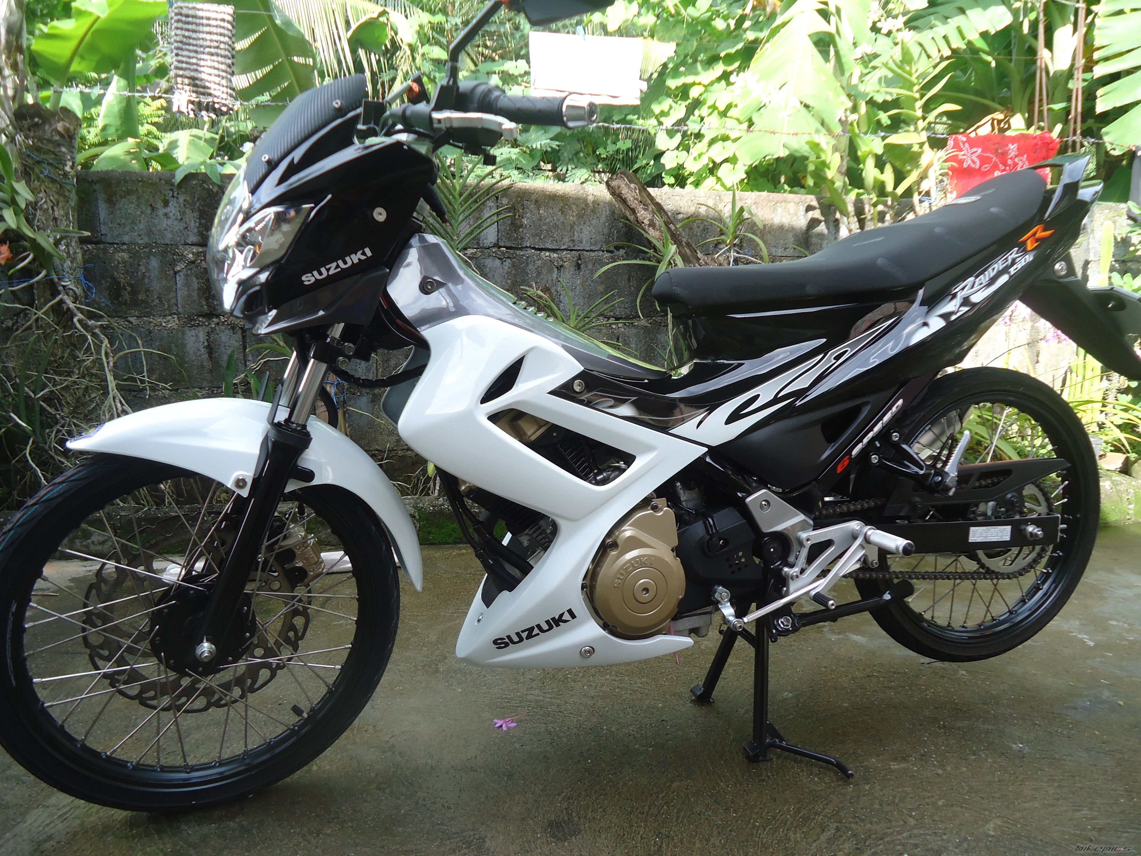 Photo 2261204