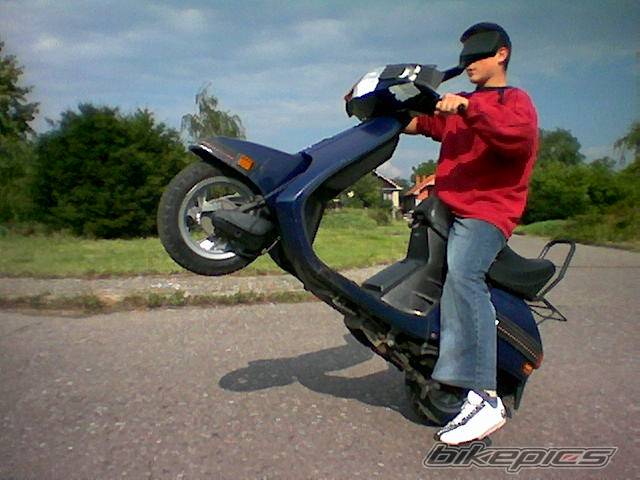 Photo 226124