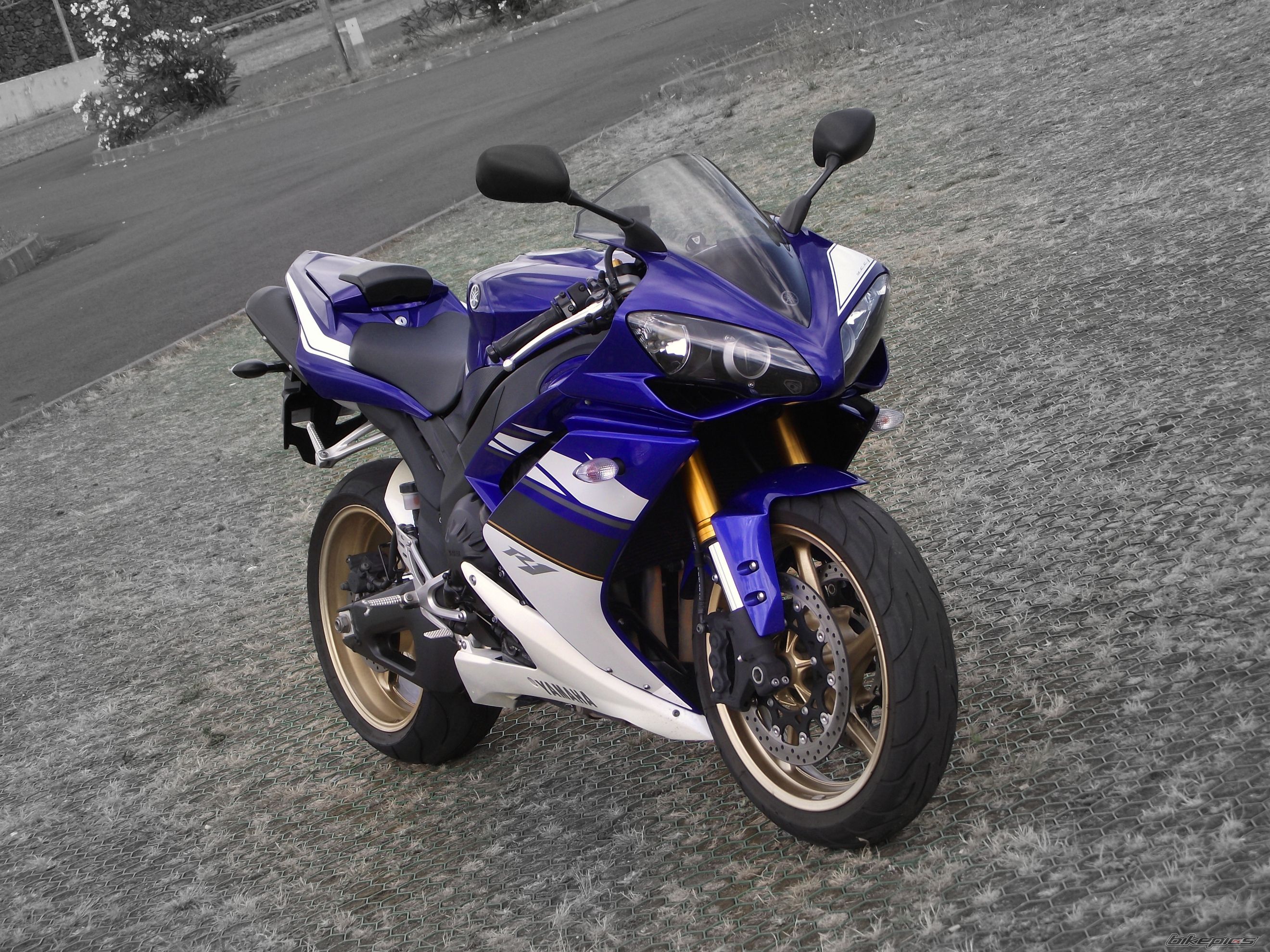 Photo 2261282