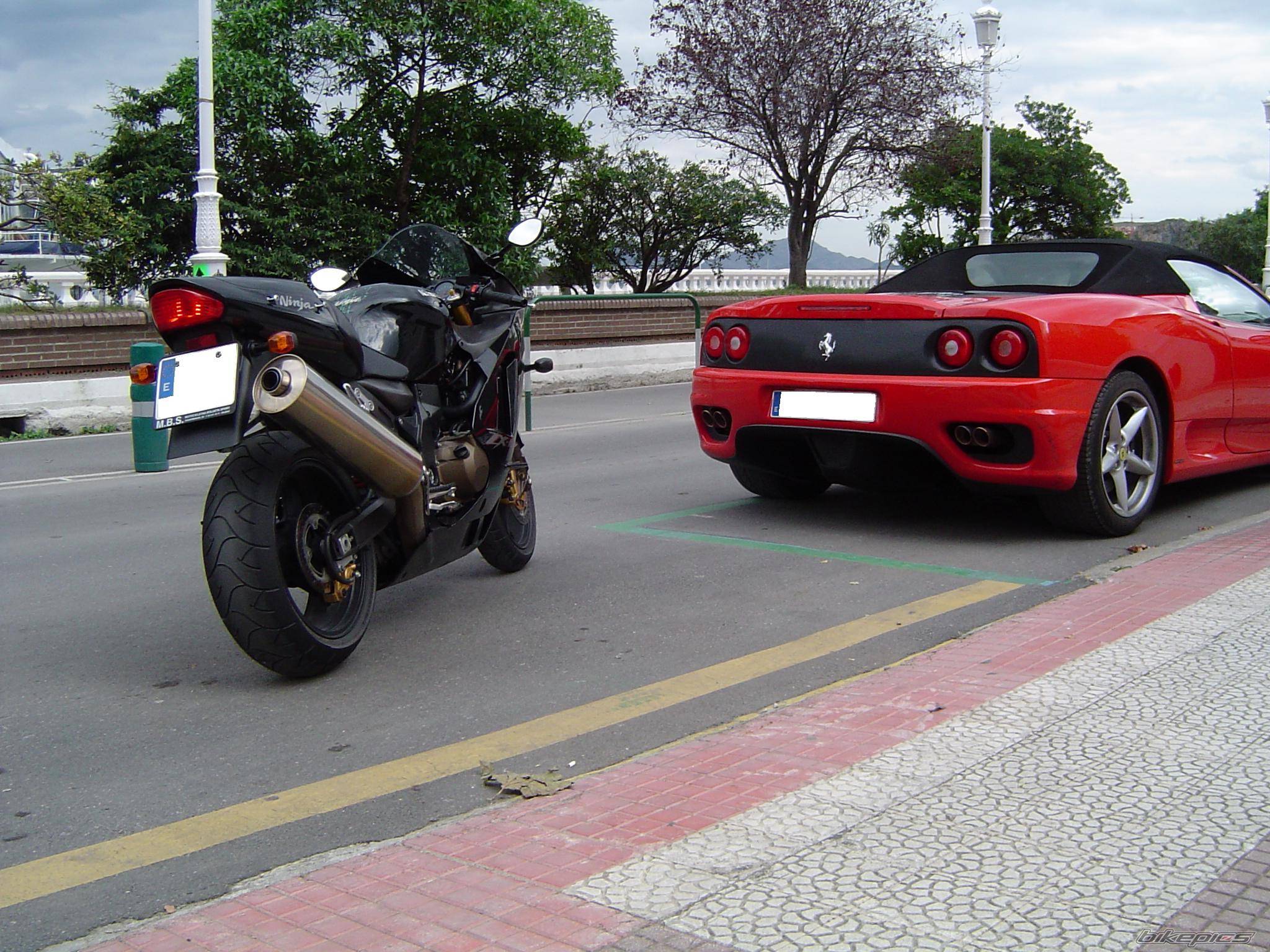 Photo 226133