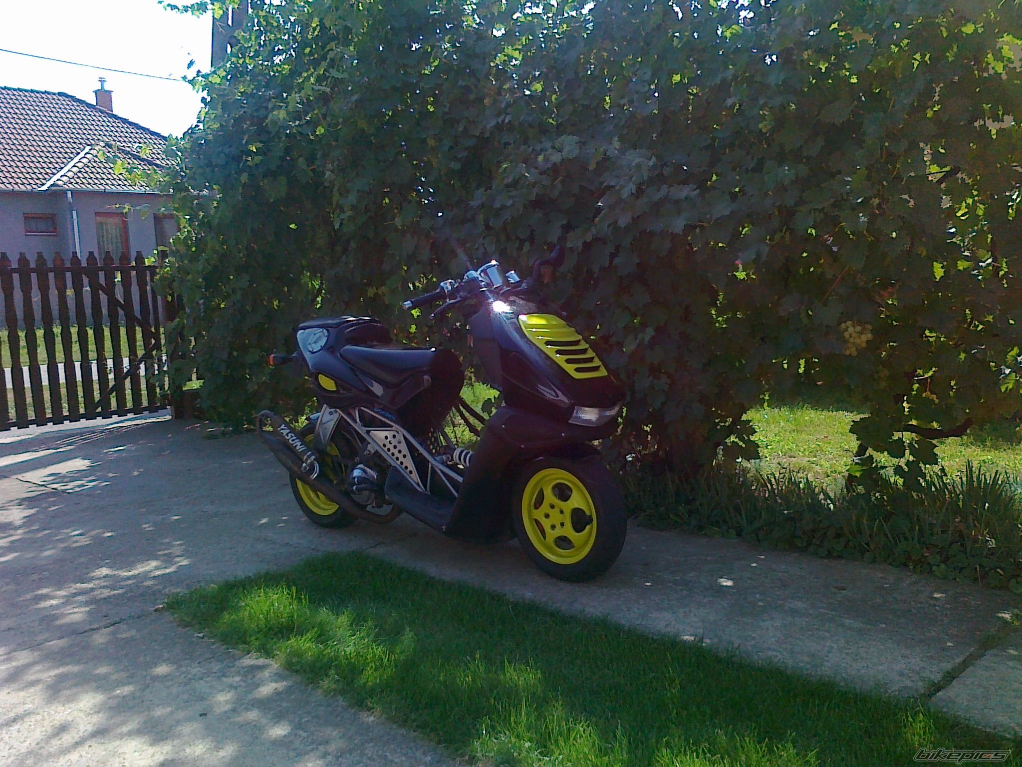 Photo 2261363