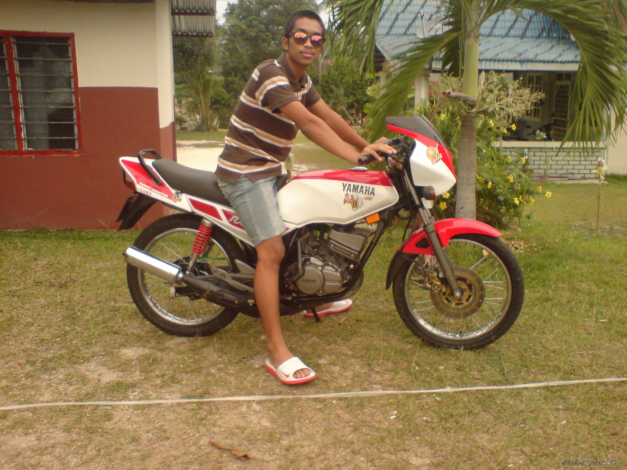 Photo 2261378