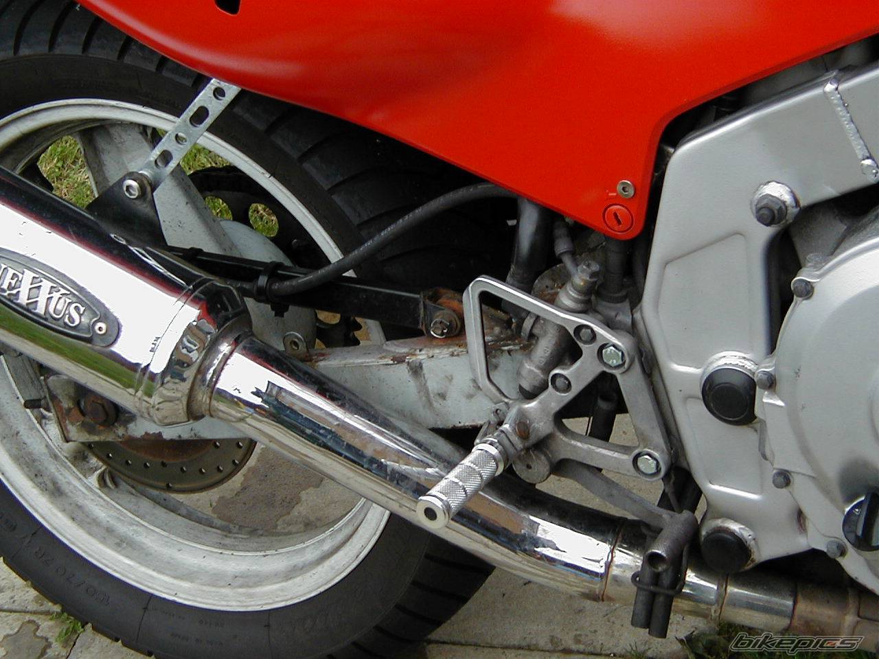 Photo 226149