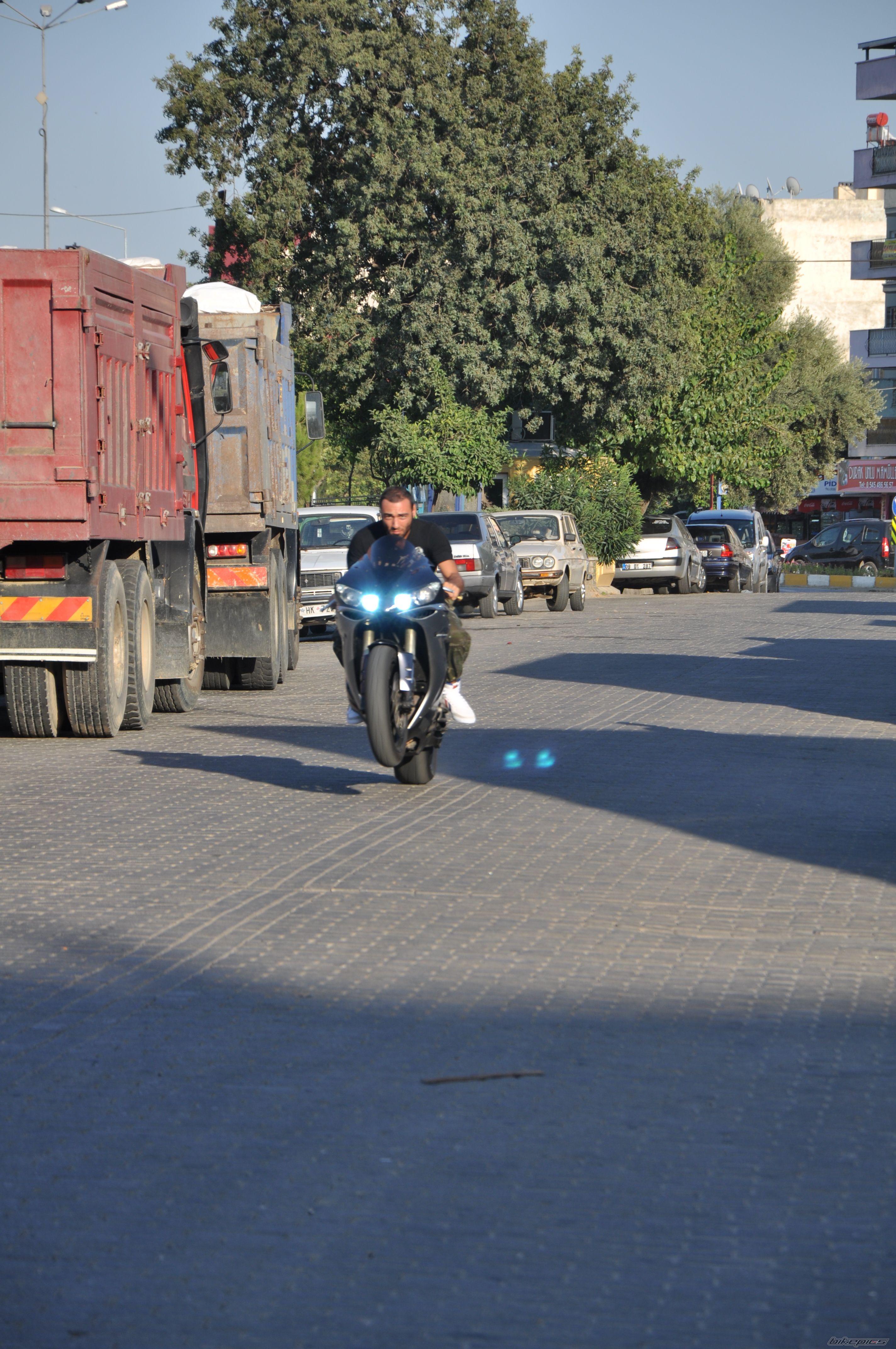 Photo 2261580