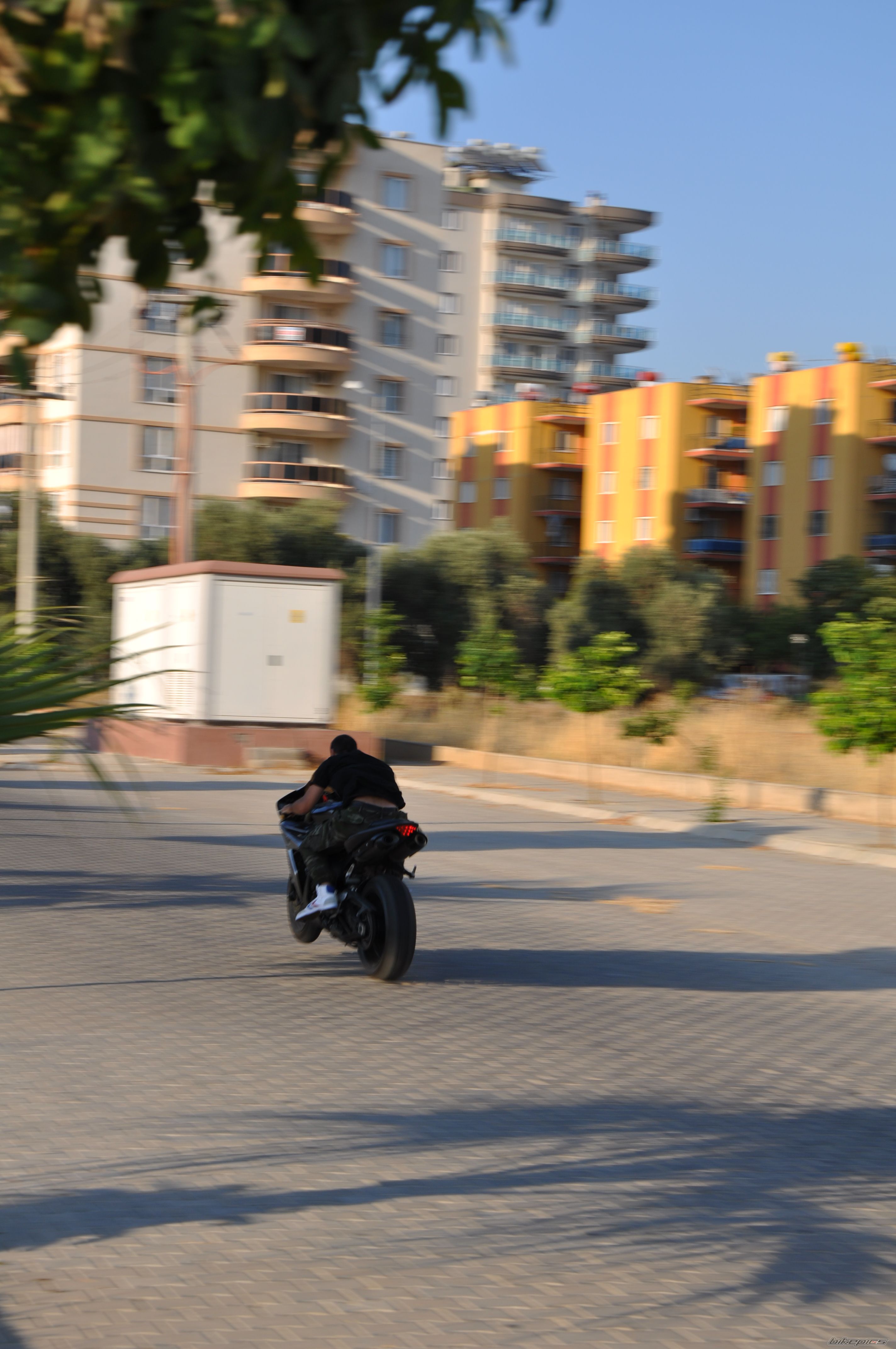 Photo 2261581