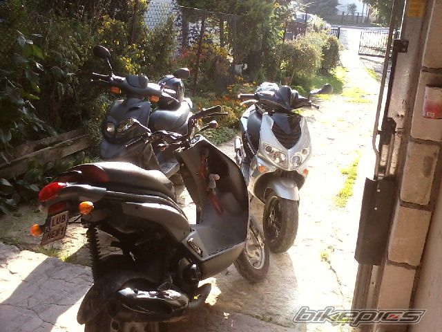 Photo 2261624