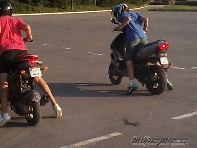 Photo 2261628
