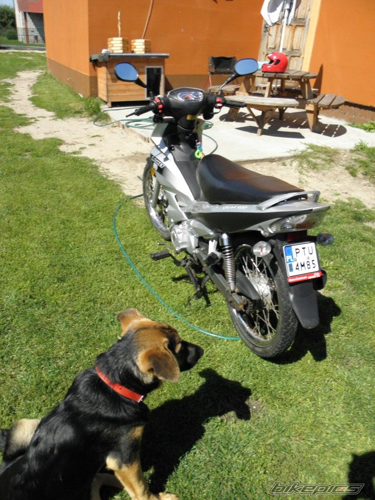 Photo 2261681