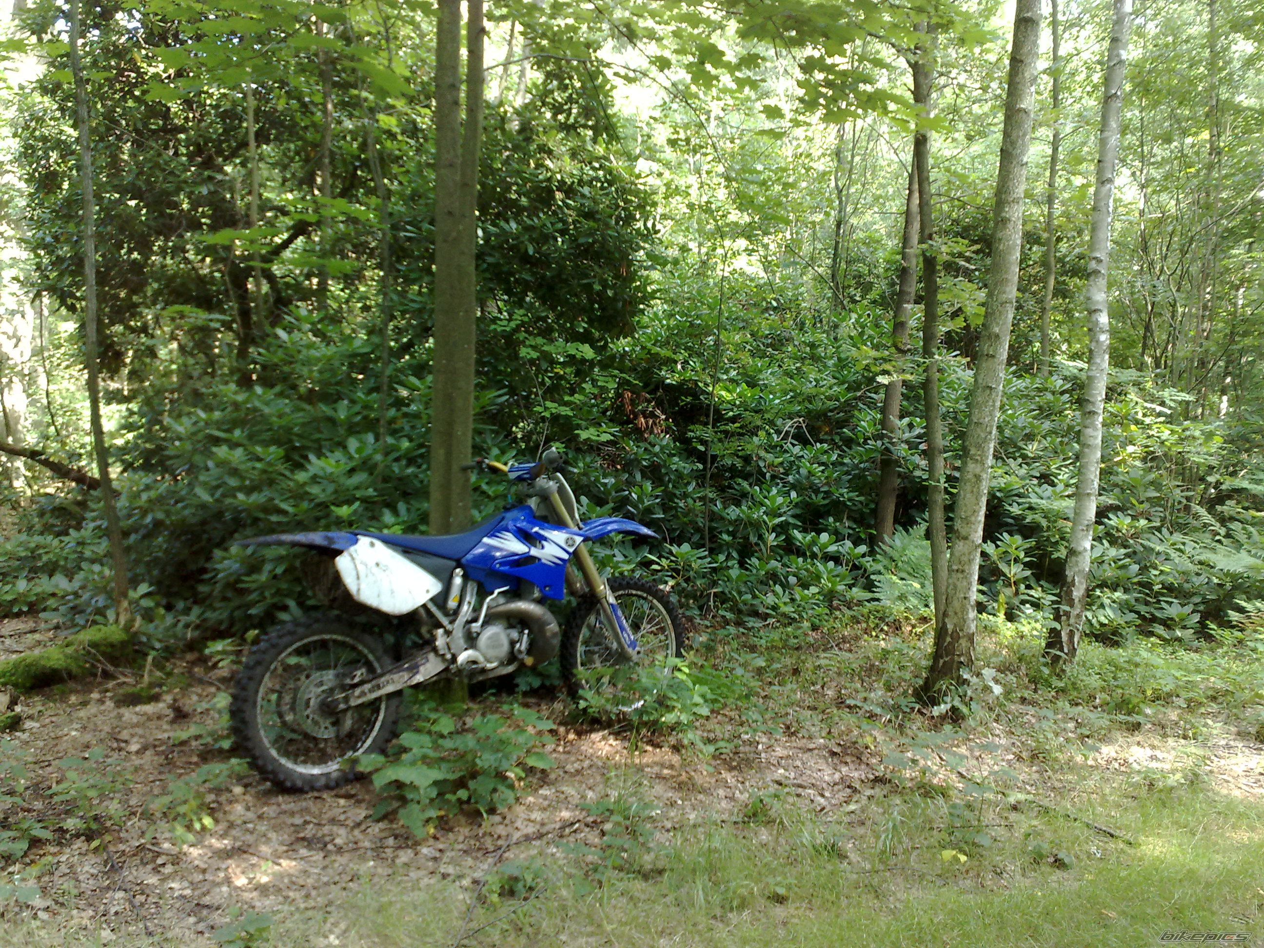 Photo 2261694