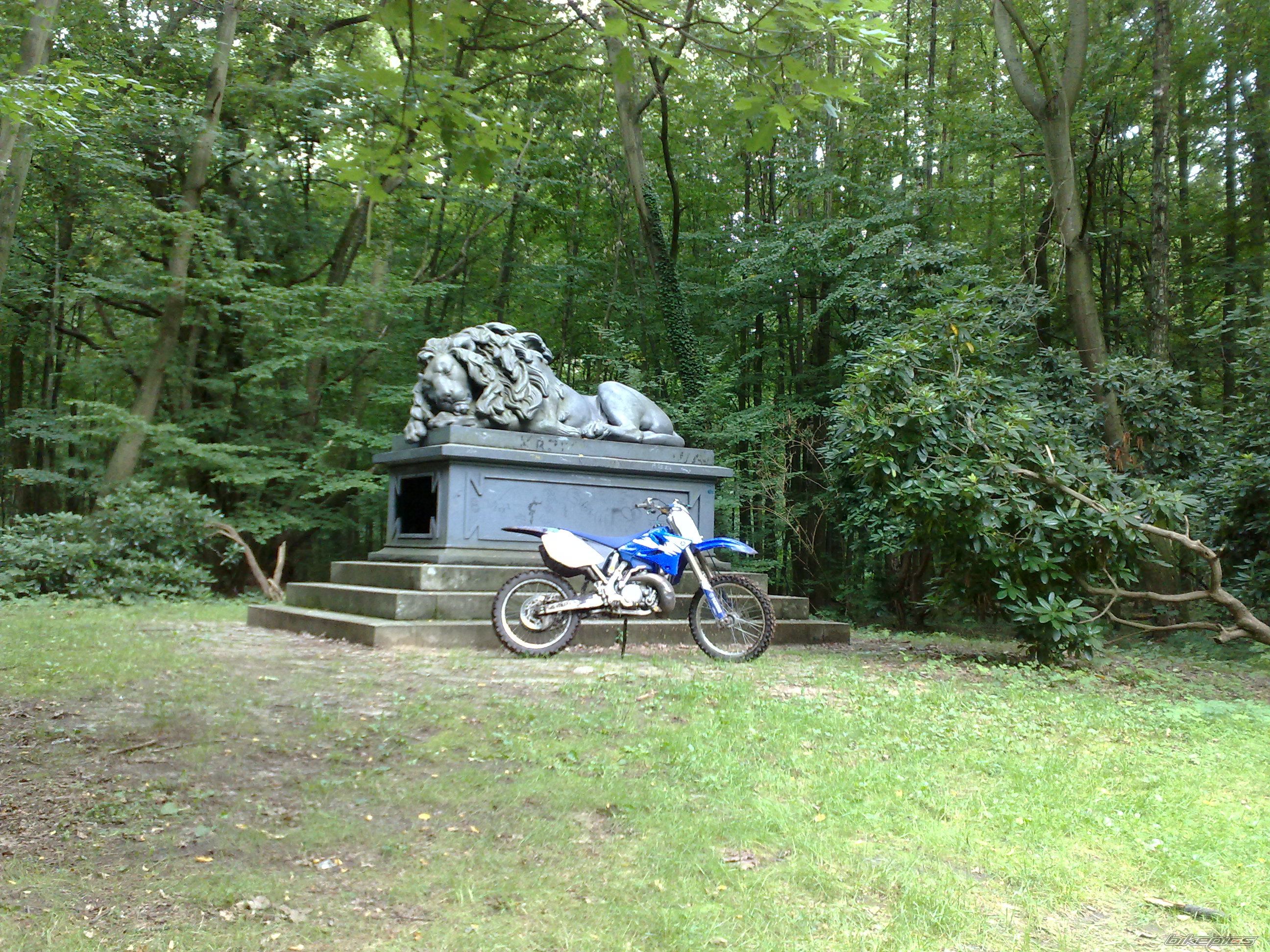 Photo 2261696