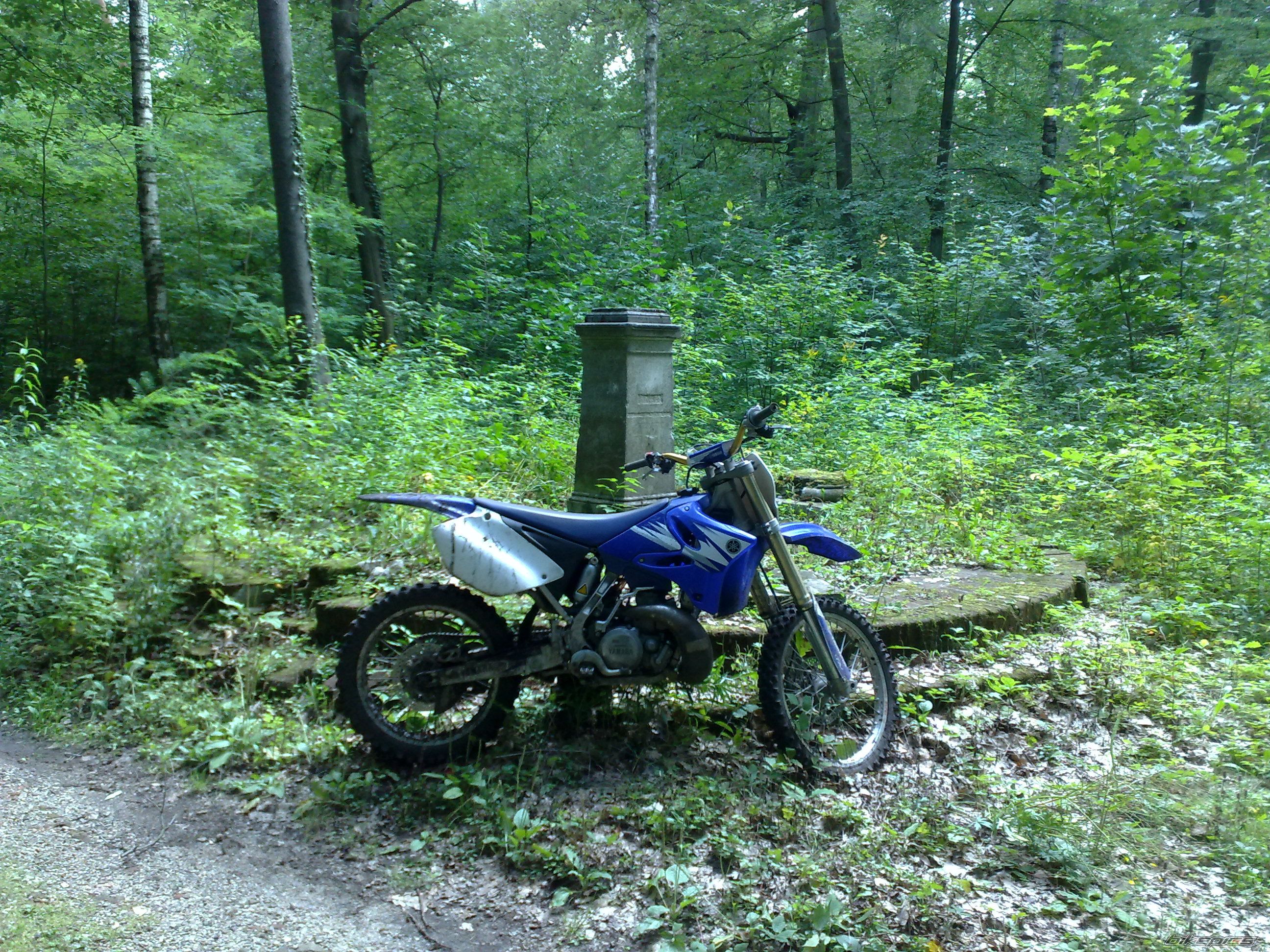 Photo 2261699