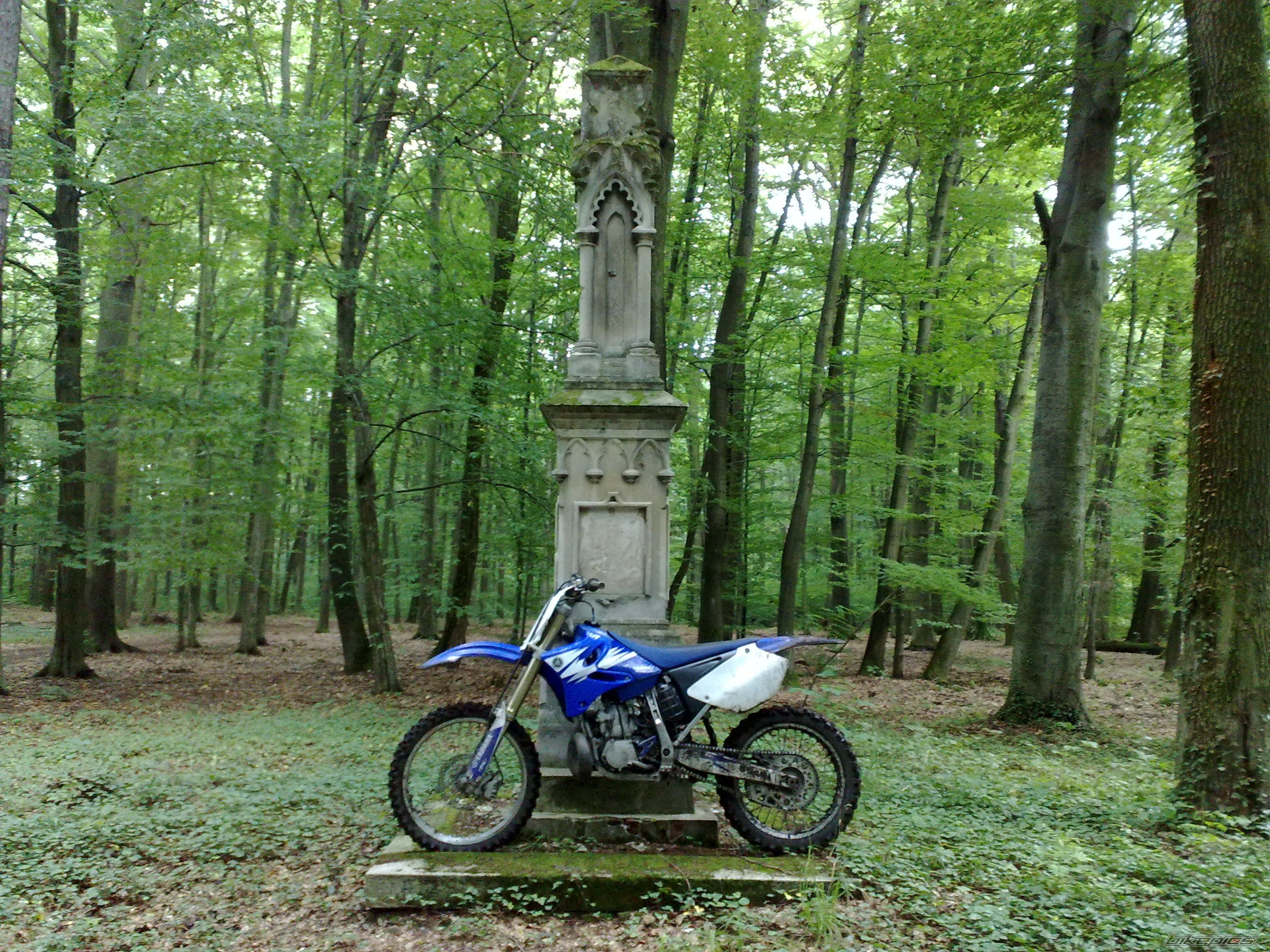 Photo 2261702