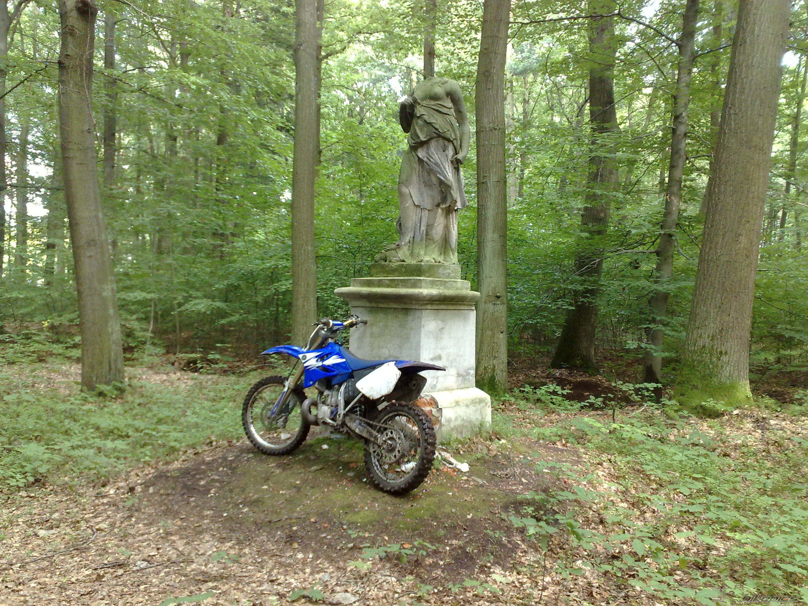 Photo 2261707