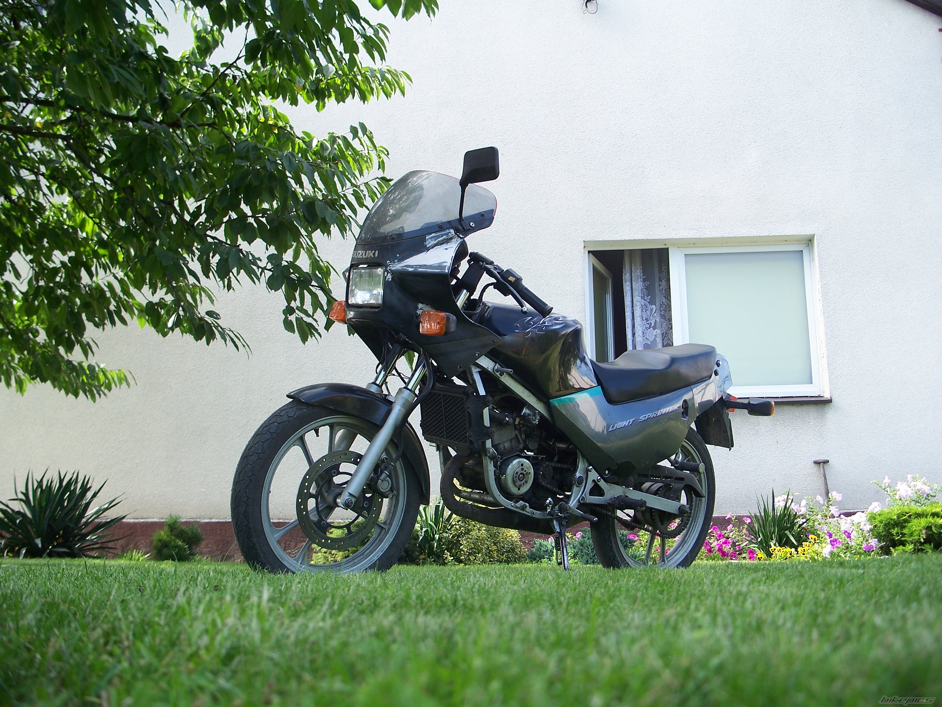 Photo 2261714