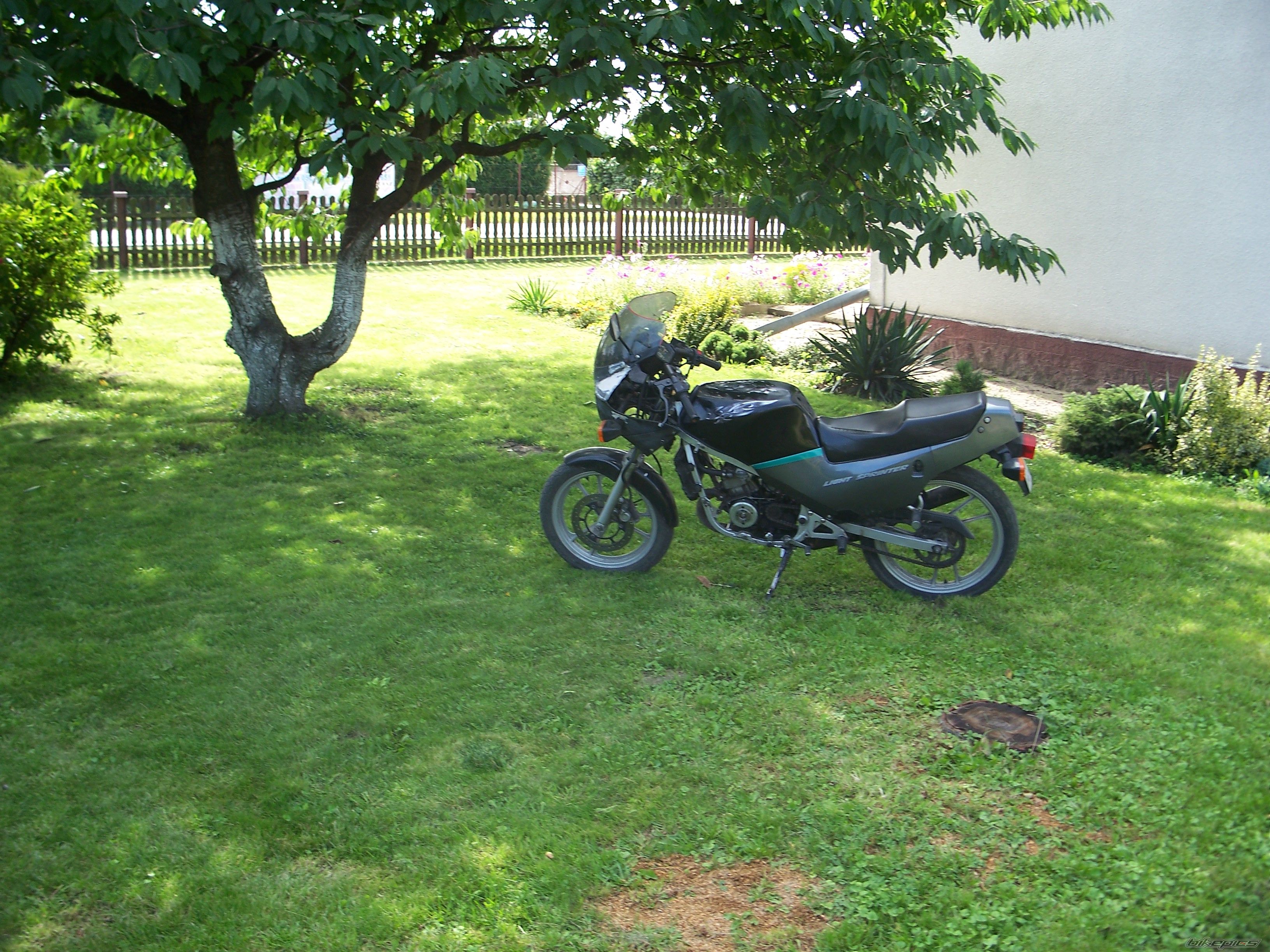 Bike Photo 2261718
