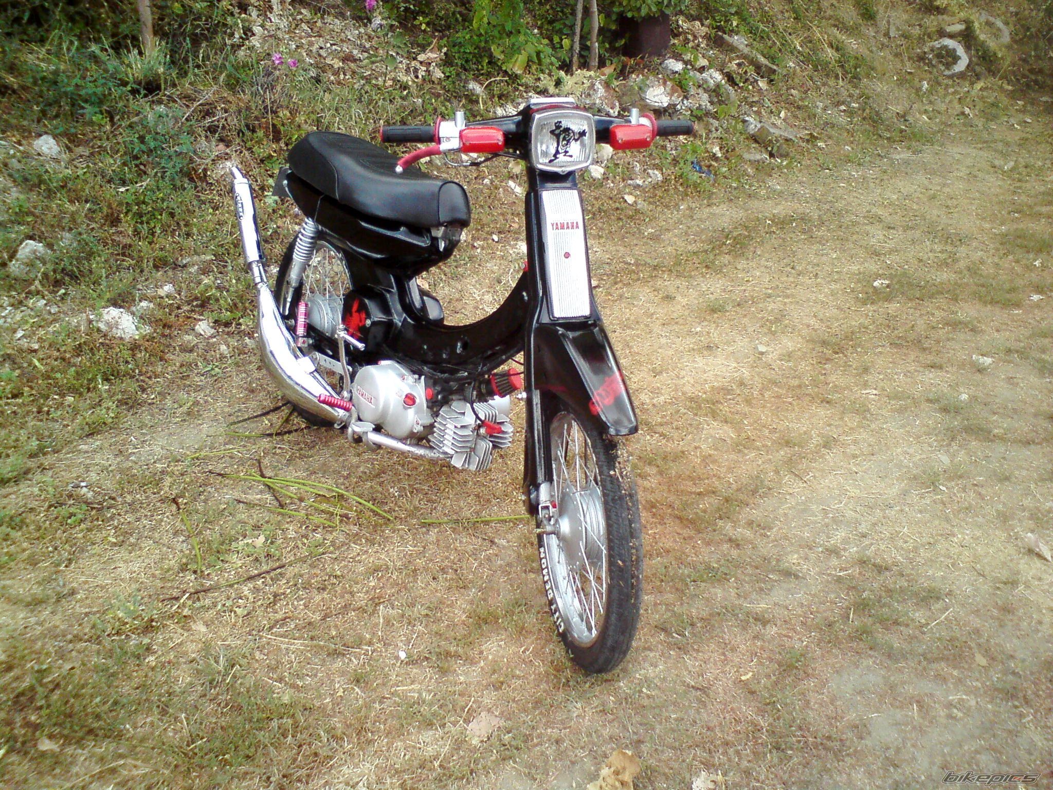 Photo 2261724
