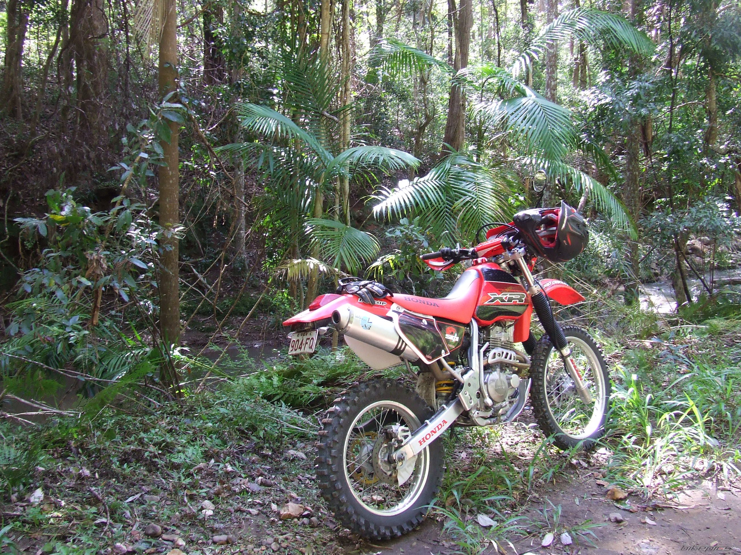 Bike Photo 2261791