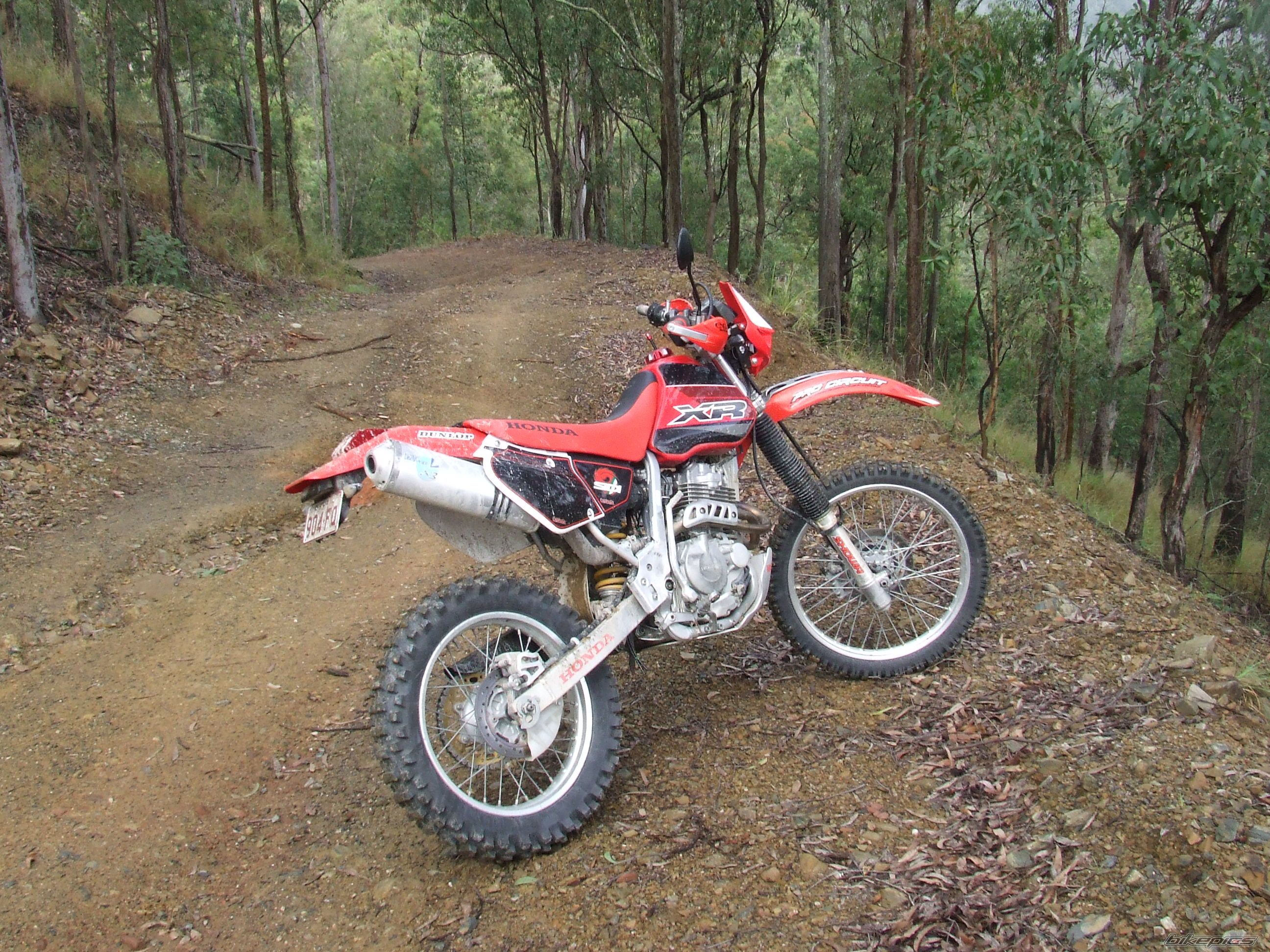 Photo 2261792