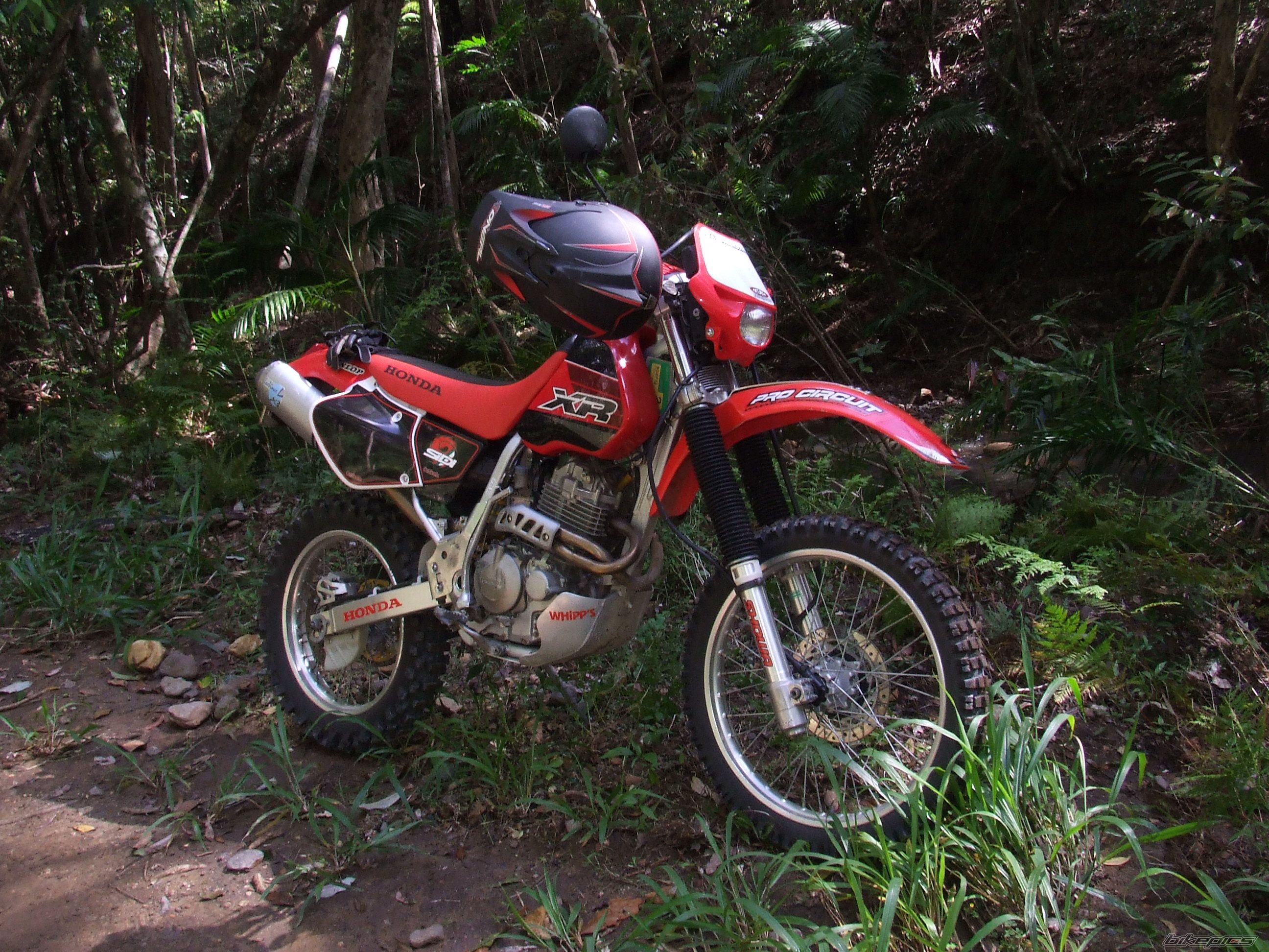 Photo 2261798