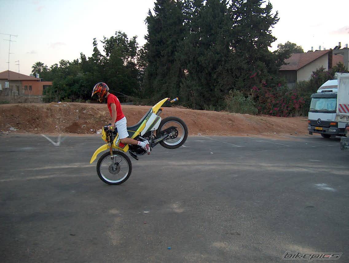 Photo 226183