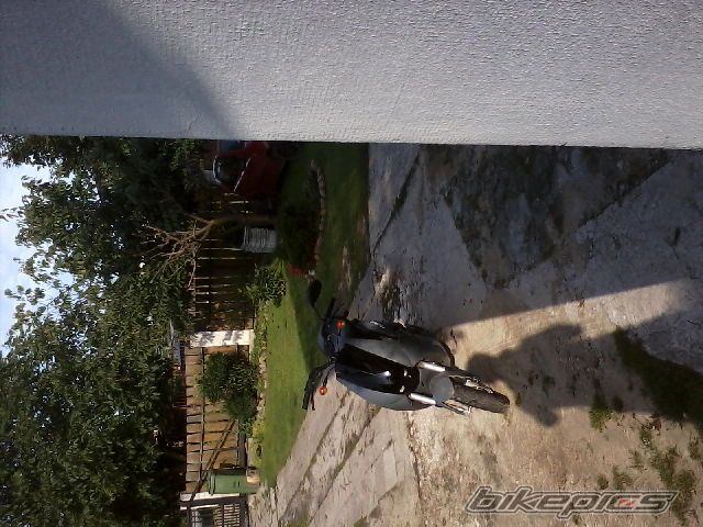 Photo 2261830