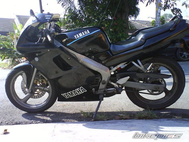 Photo 2261839