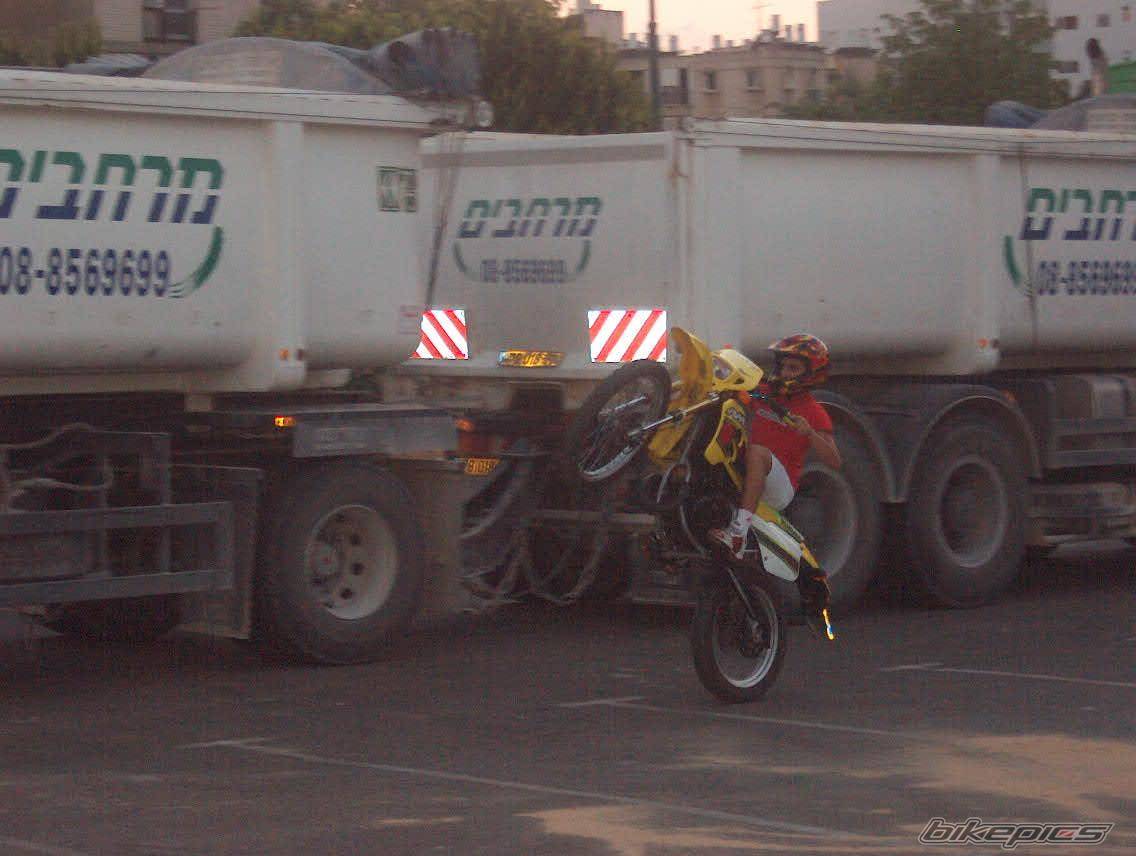 Photo 226186