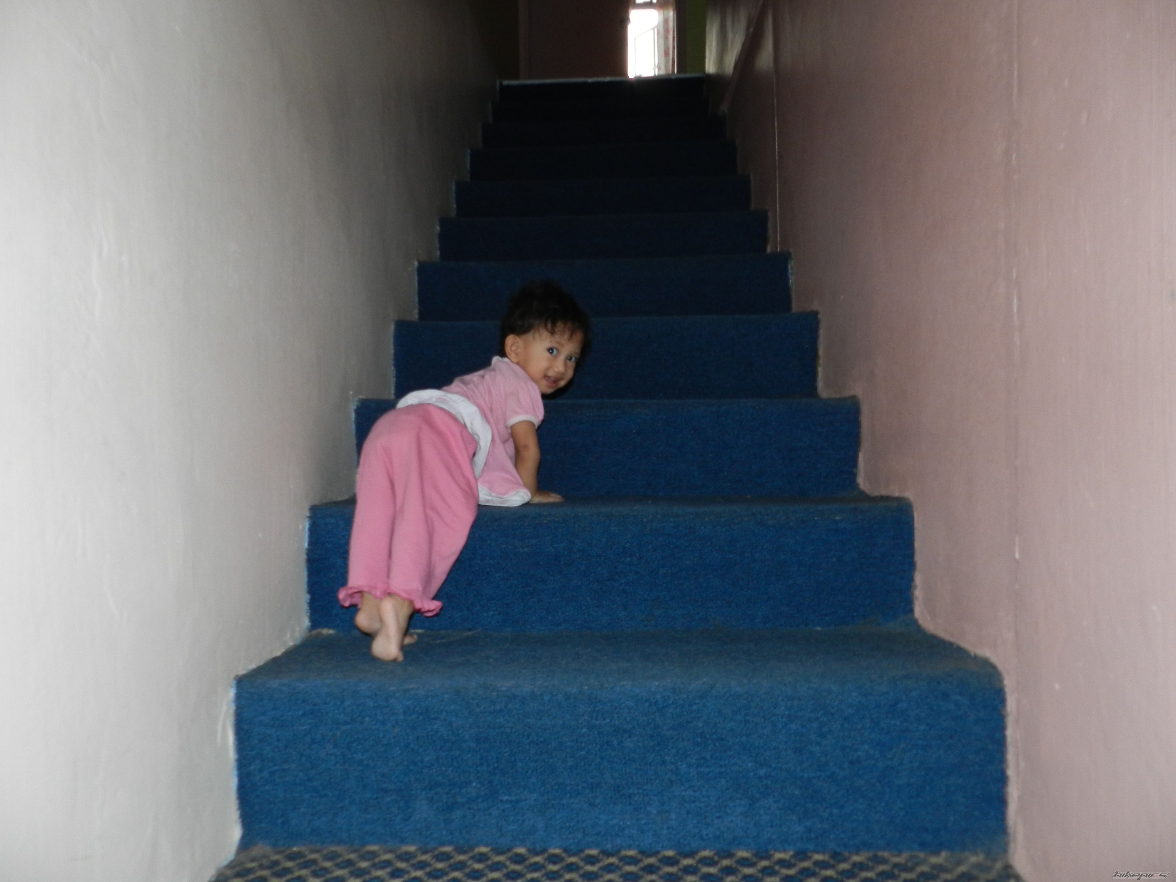 Photo 2261915