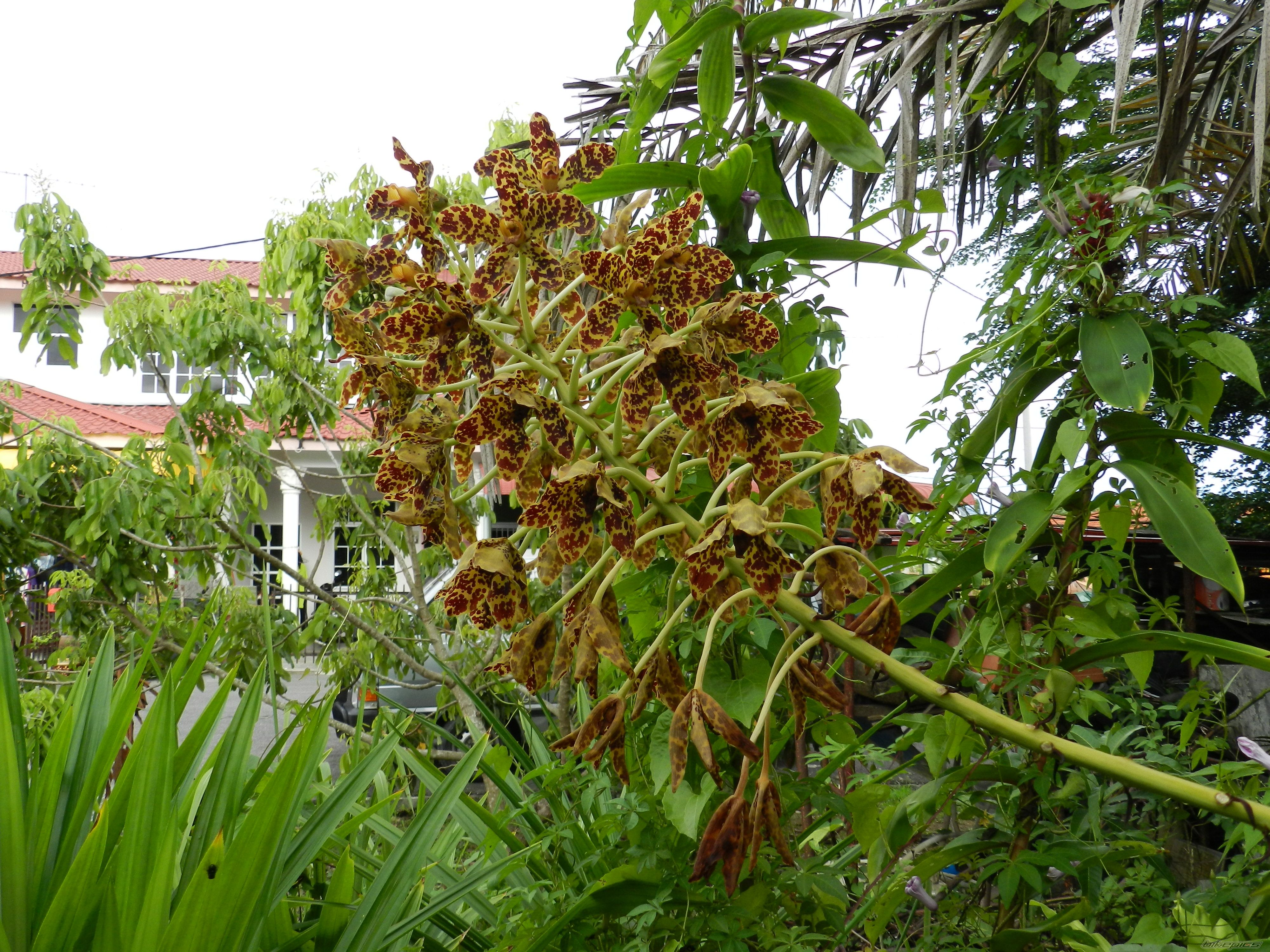 Photo 2261918