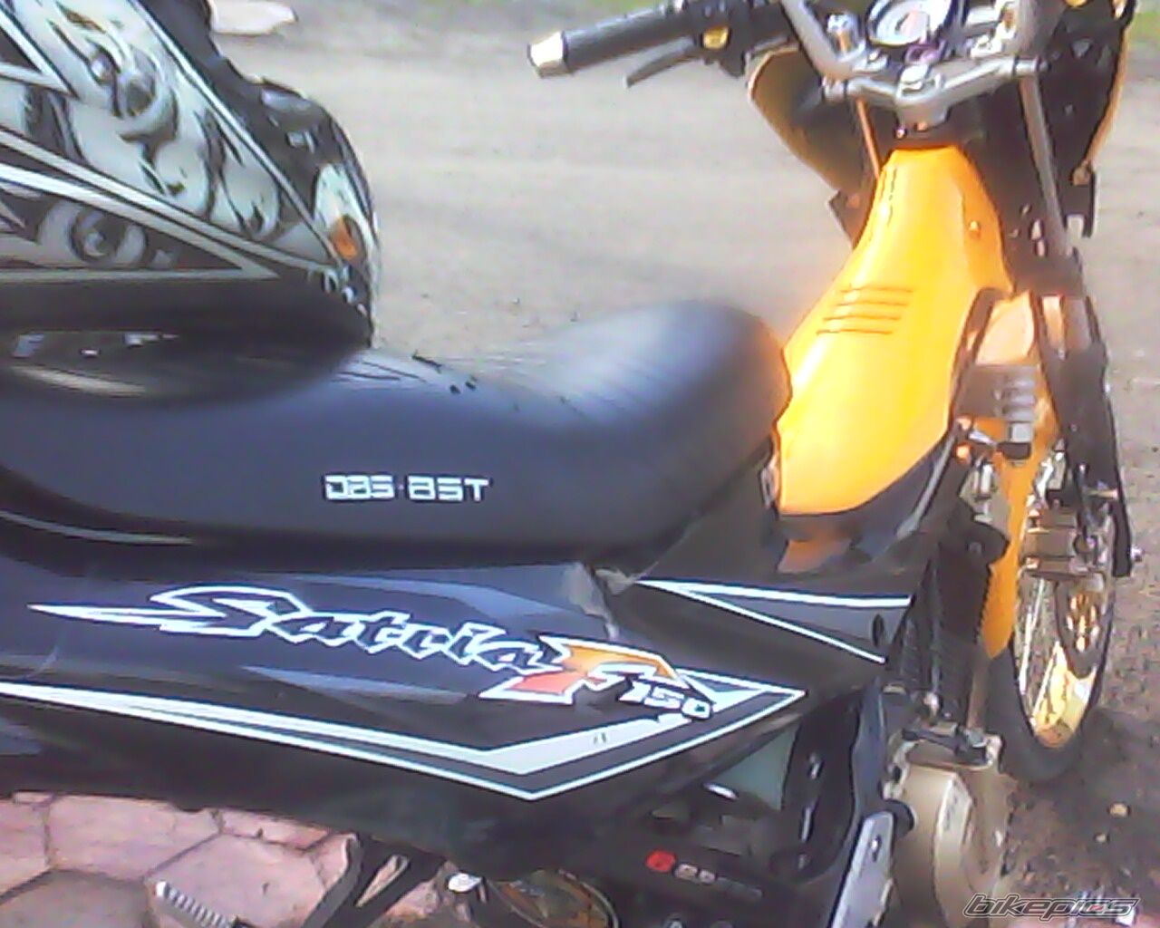 Photo 2261987
