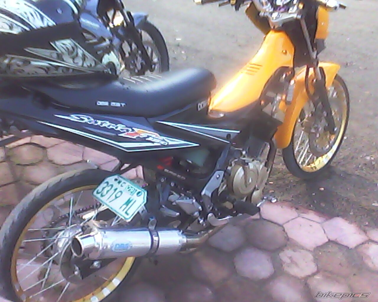 Photo 2261990