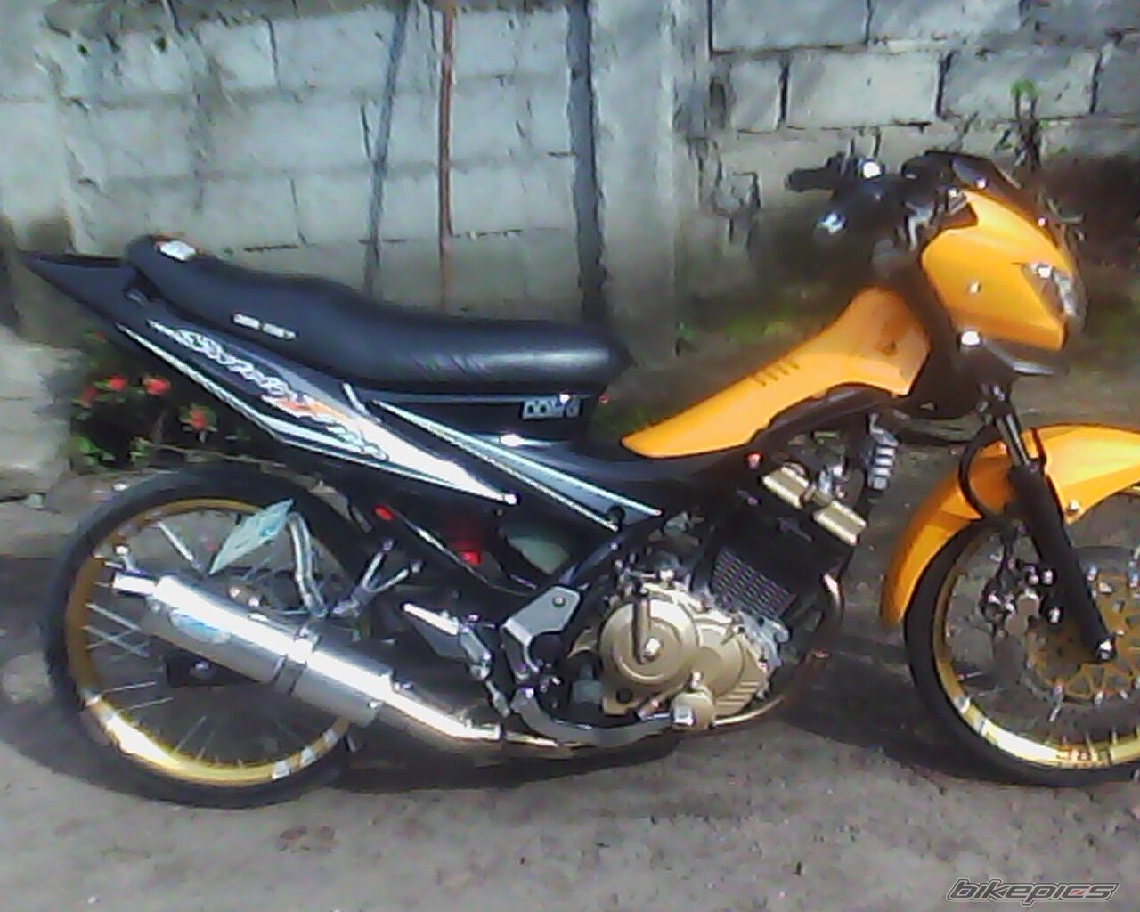 Photo 2261992