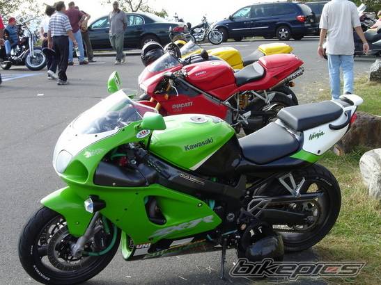 Photo 226203