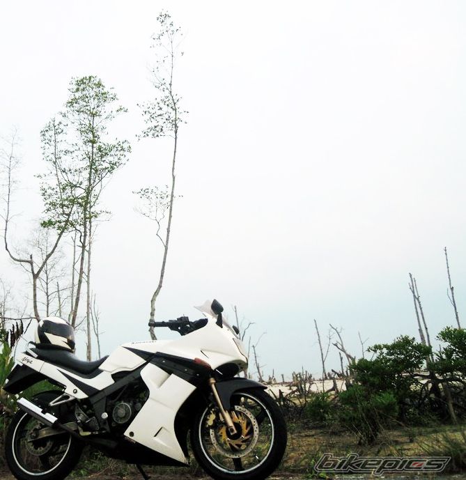 Photo 2262123