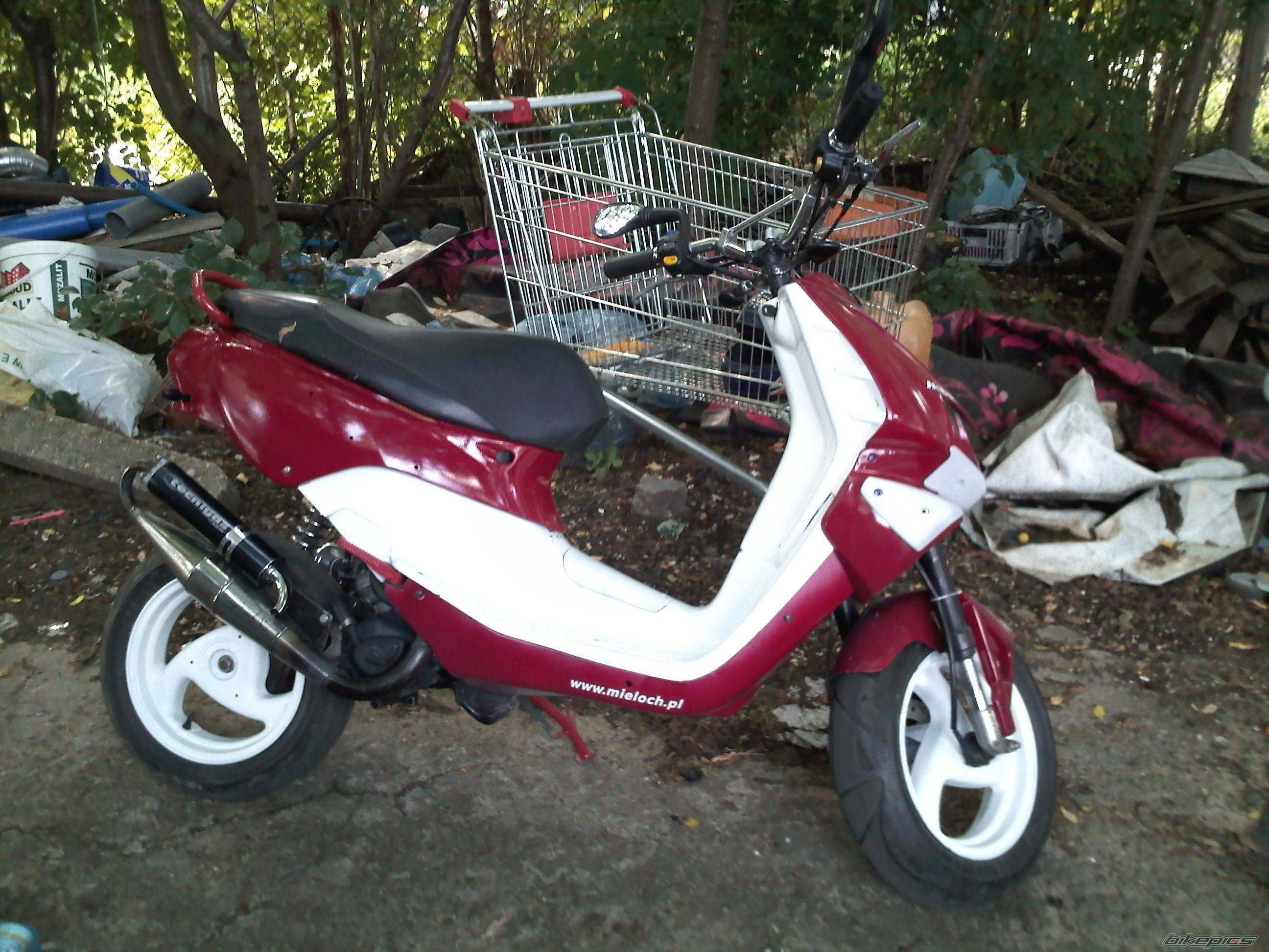 Photo 2262232