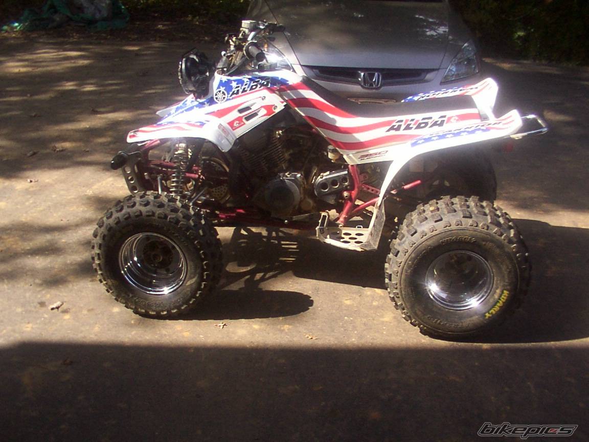Photo 226227