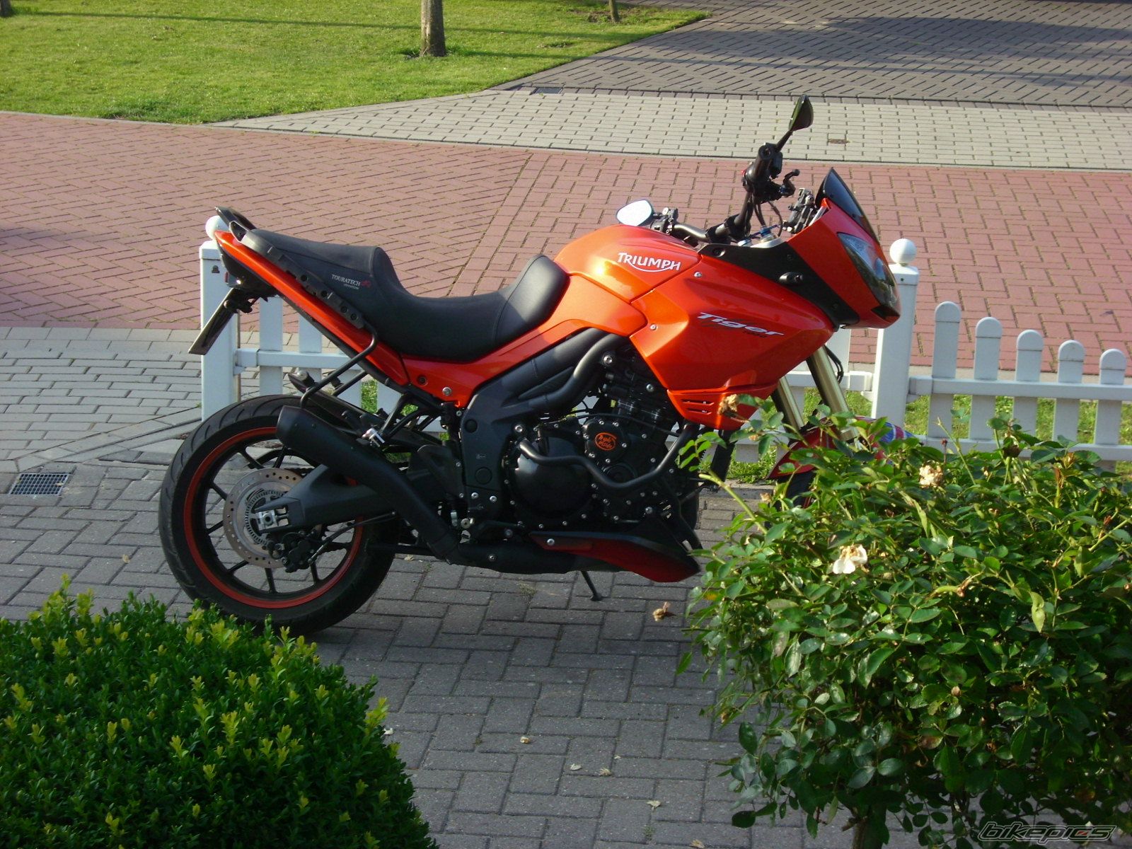 Photo 2262303