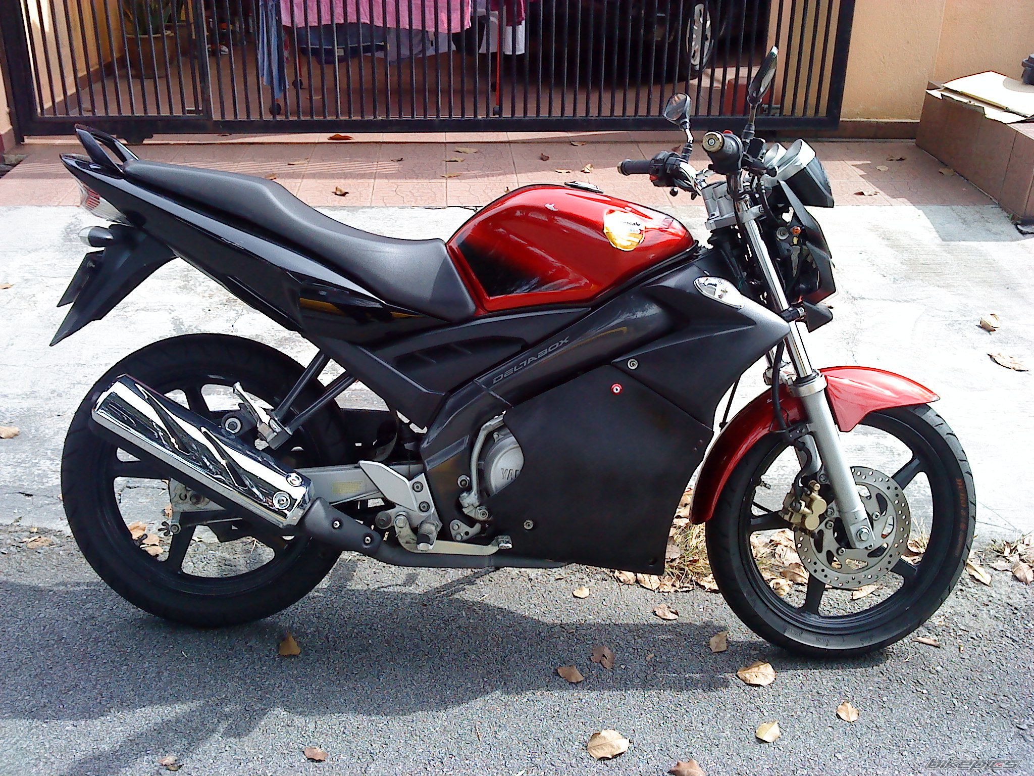 Photo 2262360
