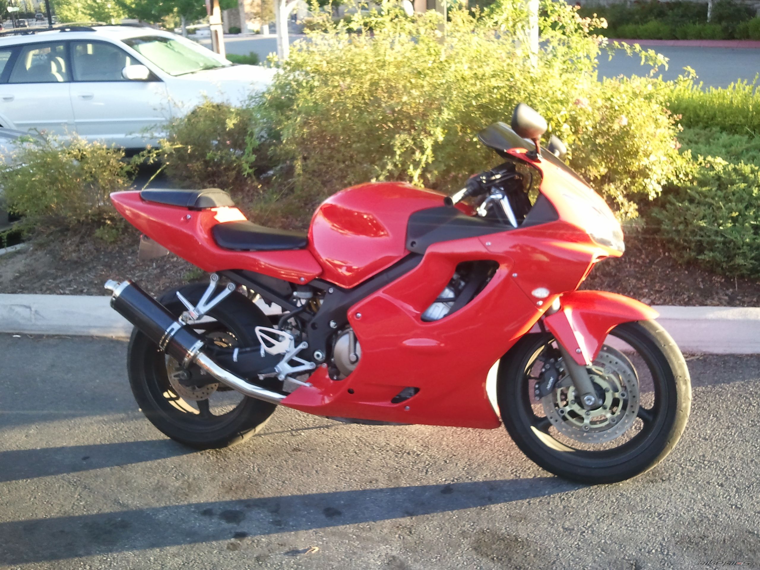 Photo 2262368