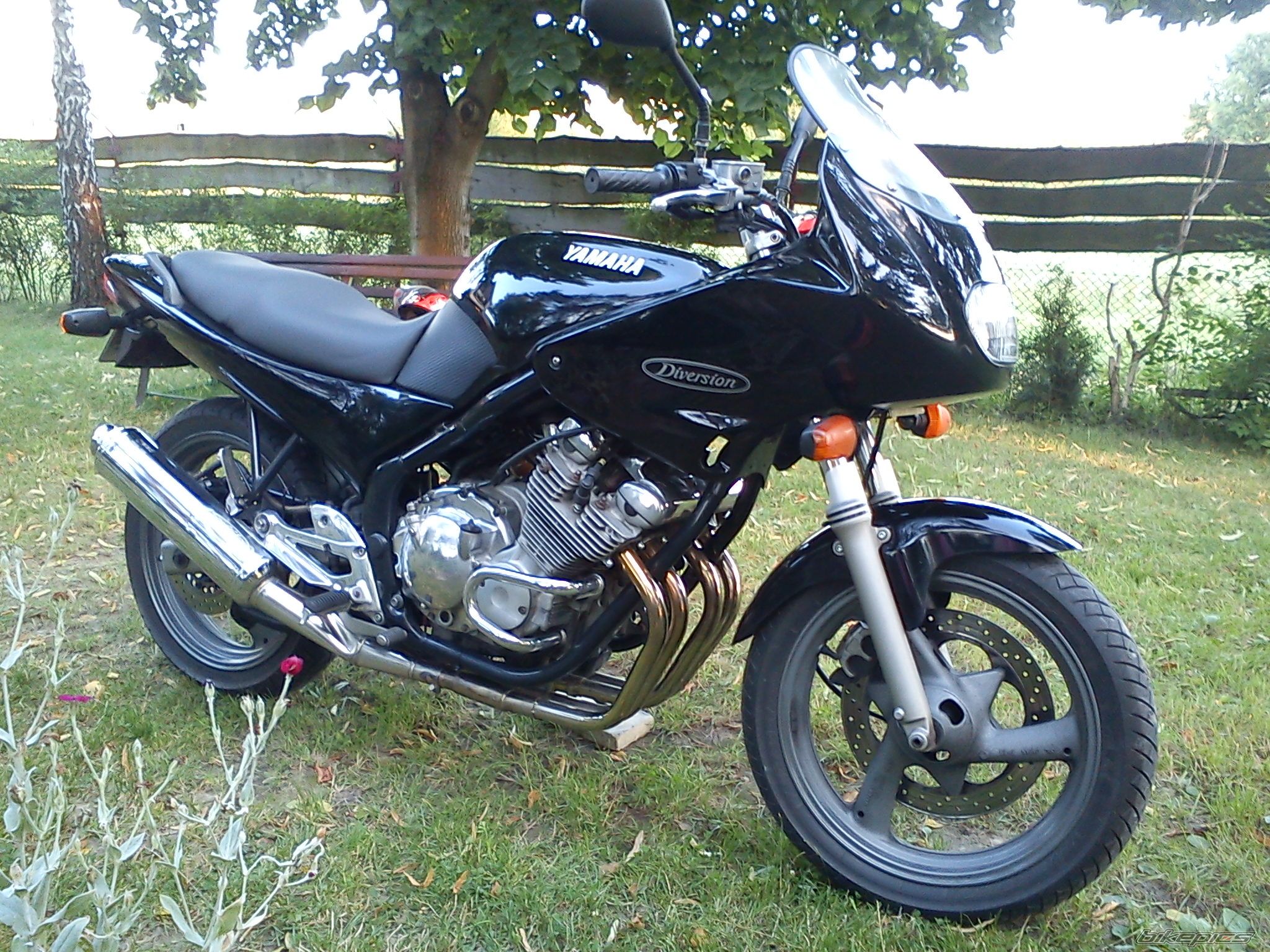 Photo 2262398