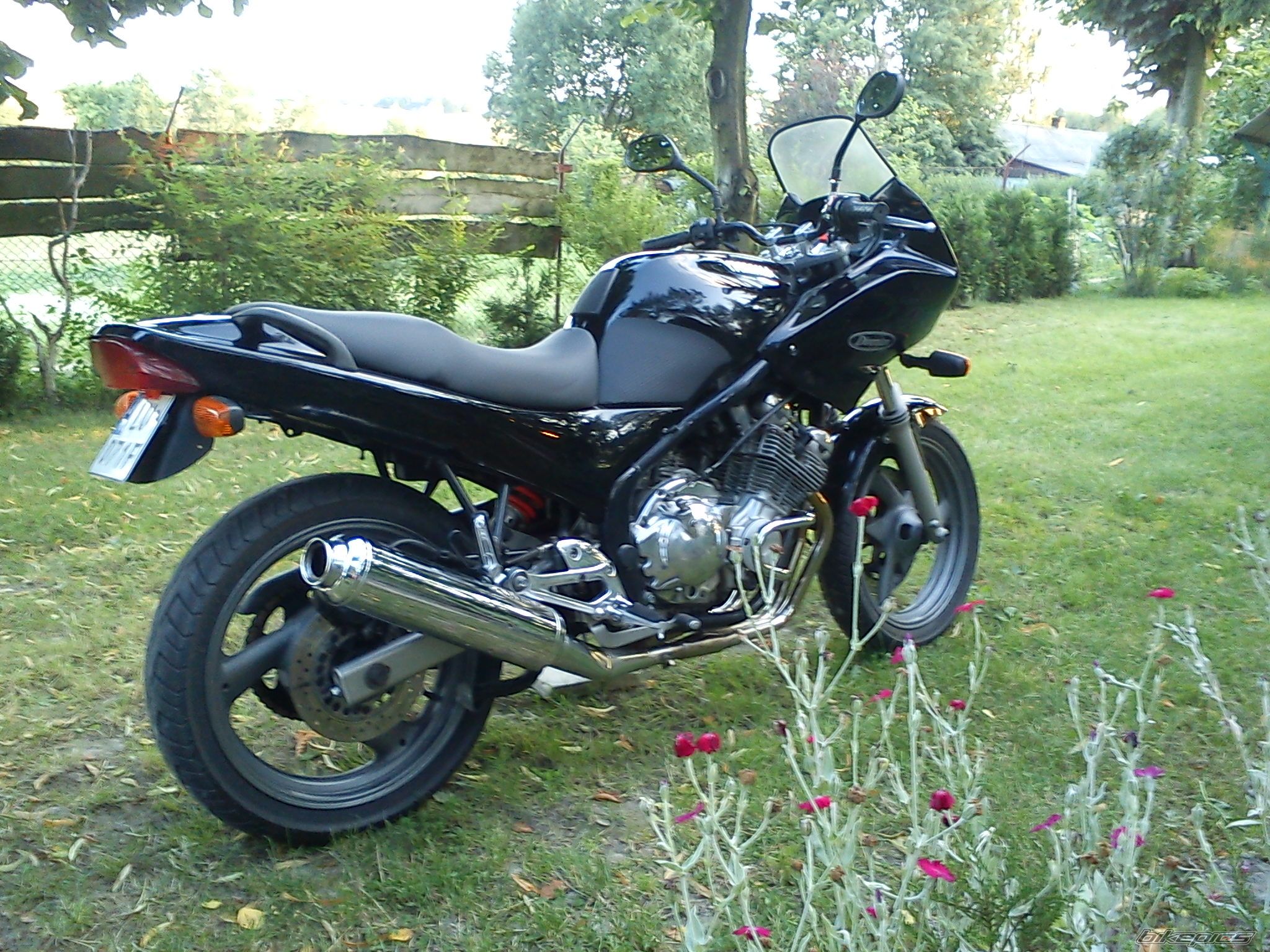 Photo 2262406