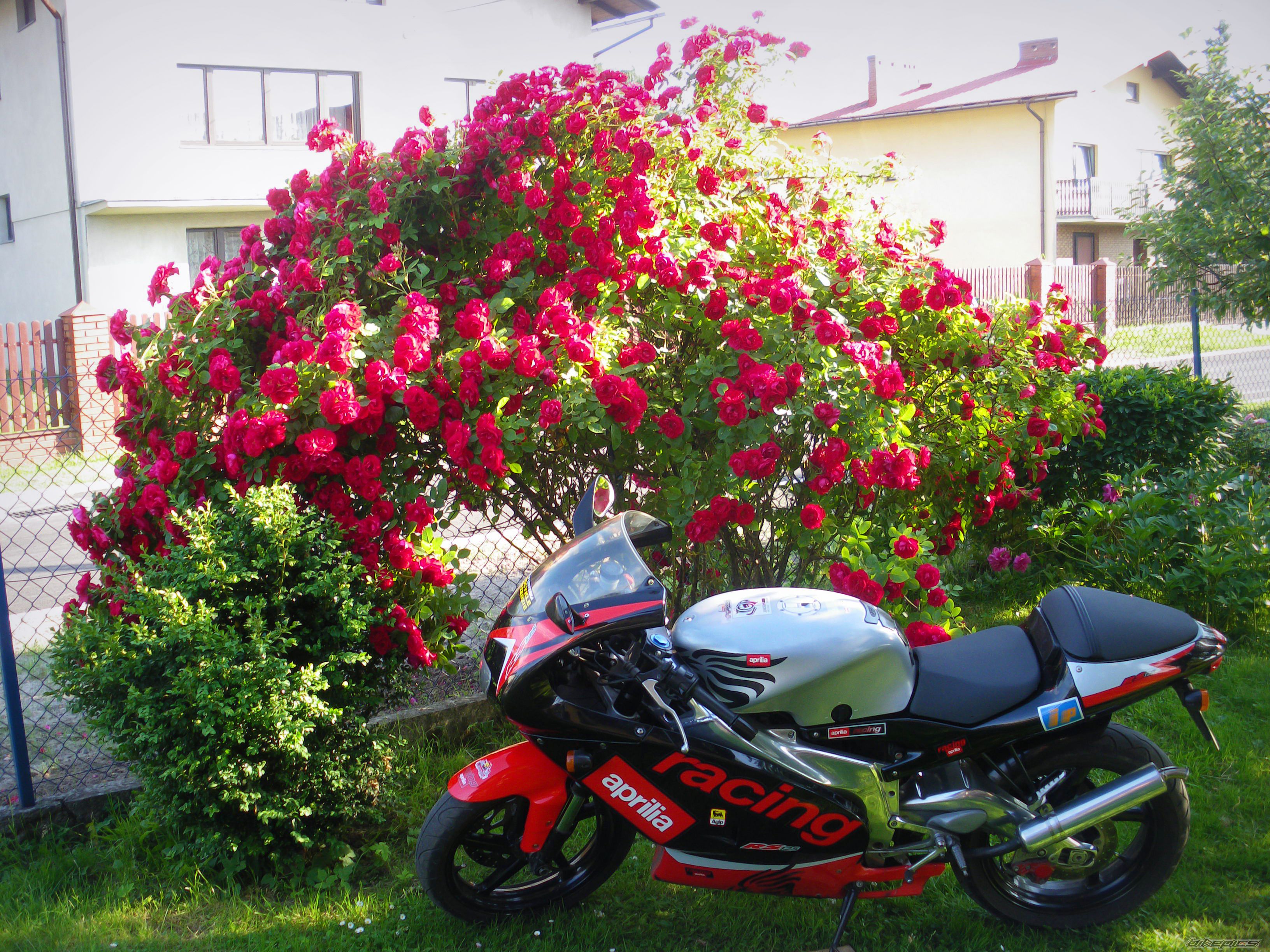 Photo 2262469