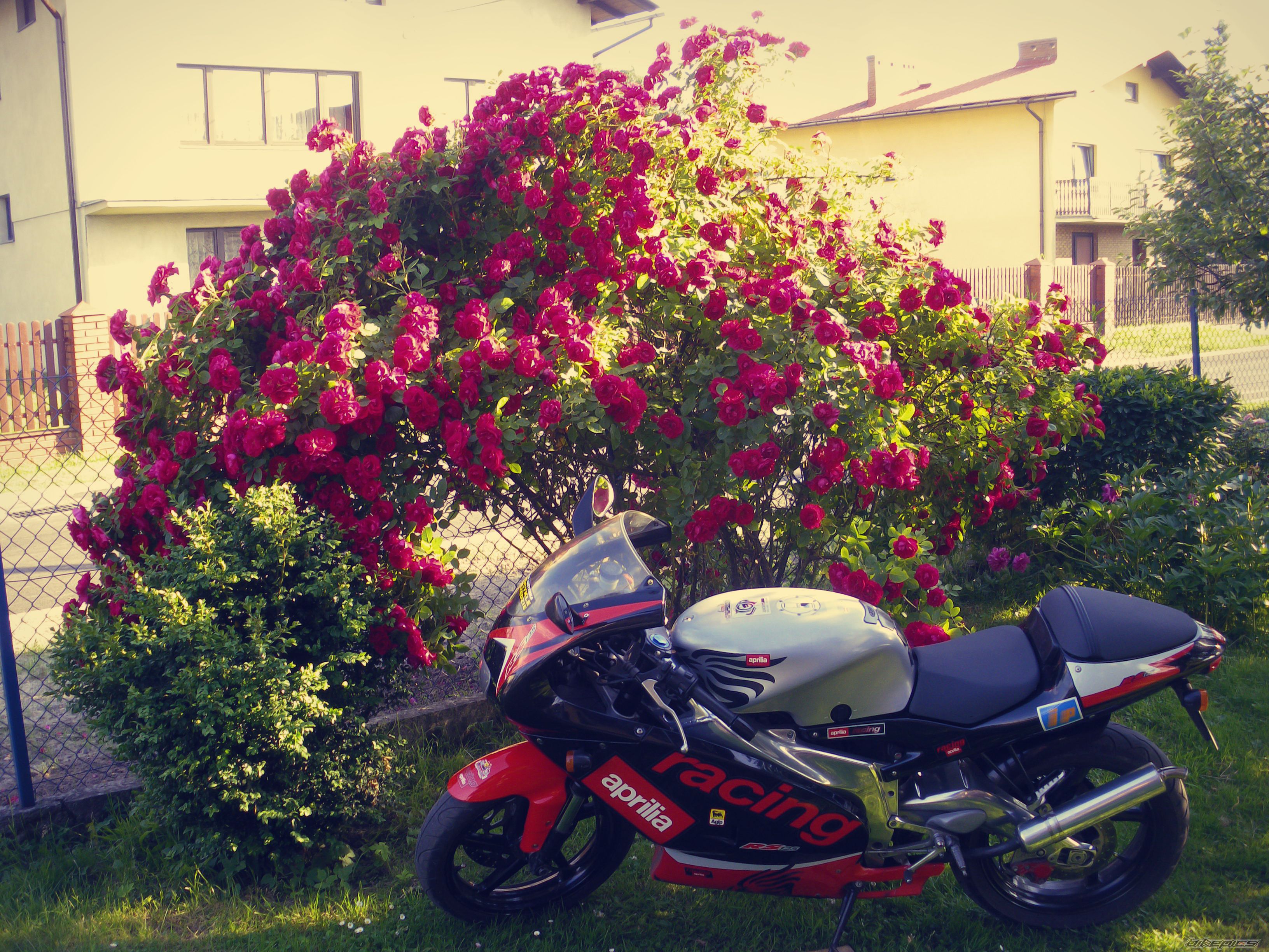 Photo 2262471