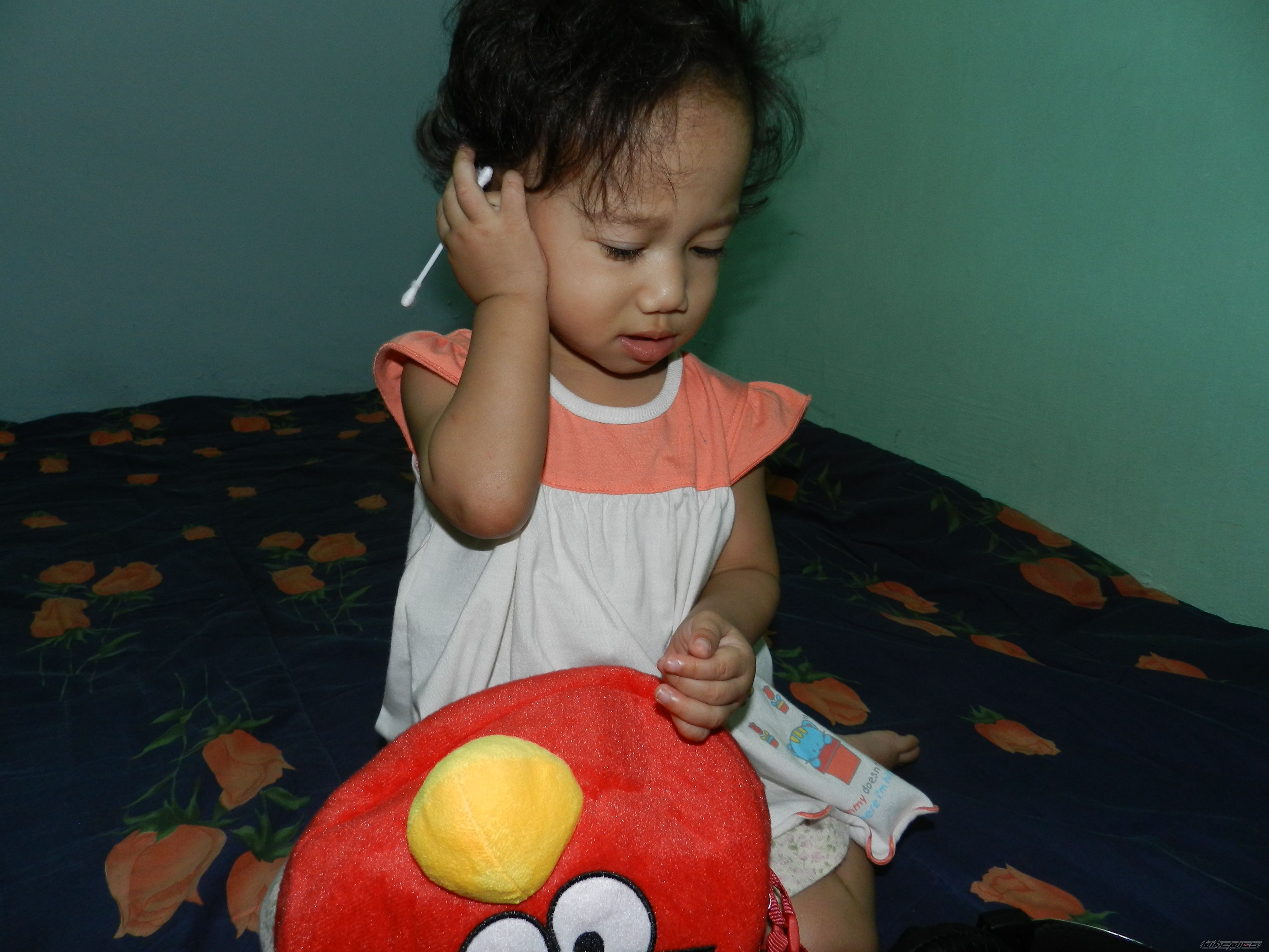 Photo 2262473