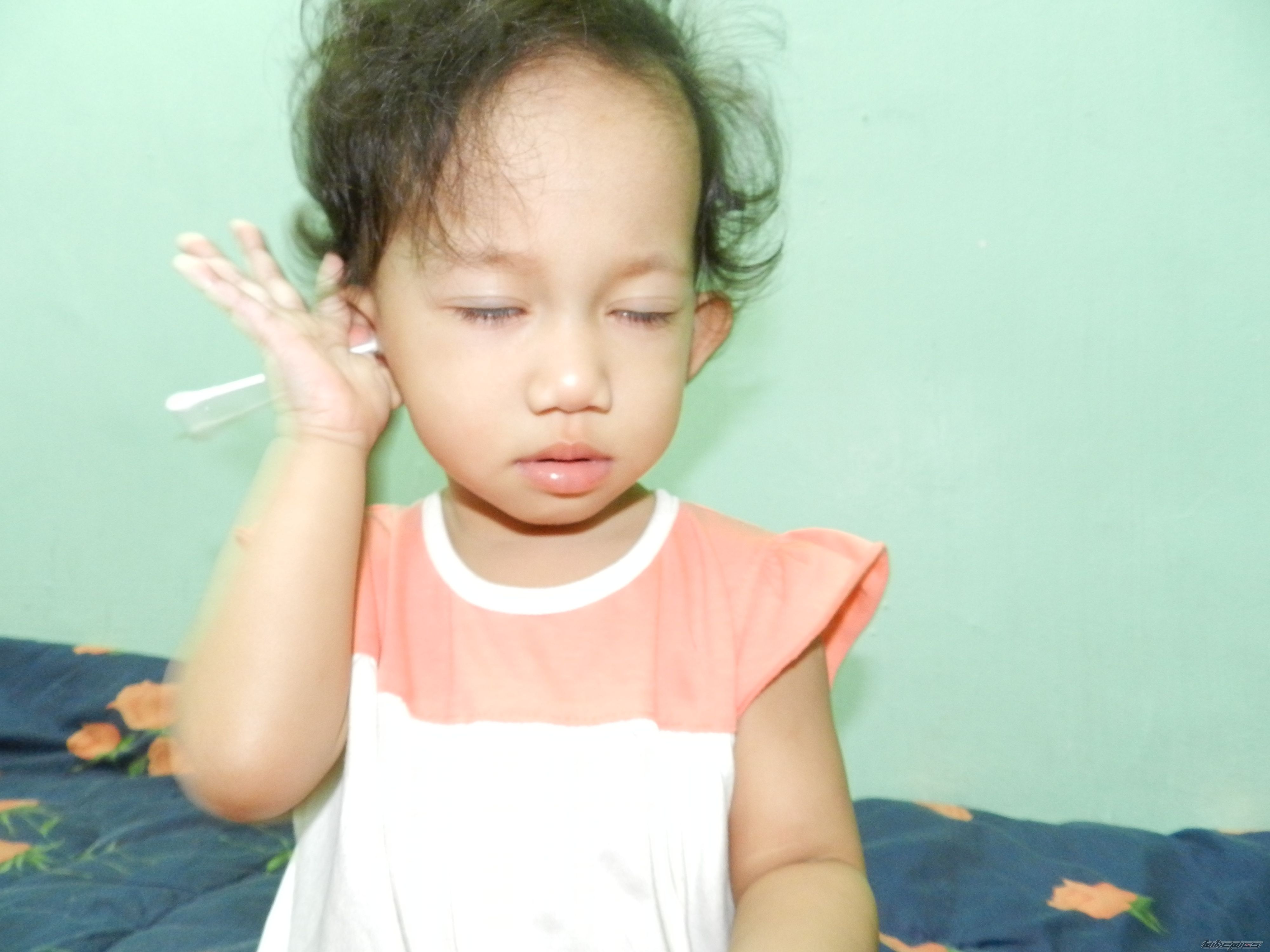 Photo 2262474