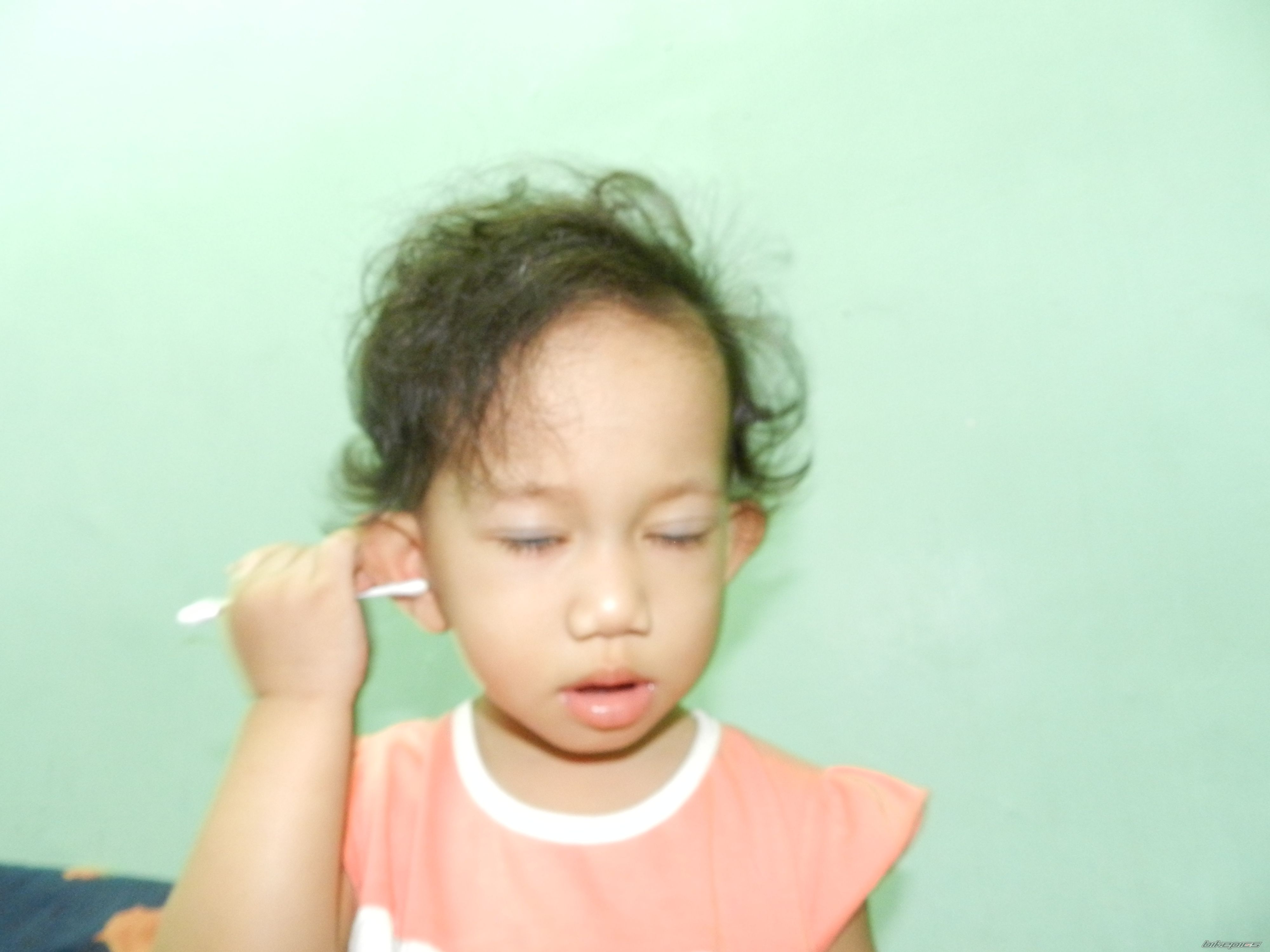 Photo 2262475